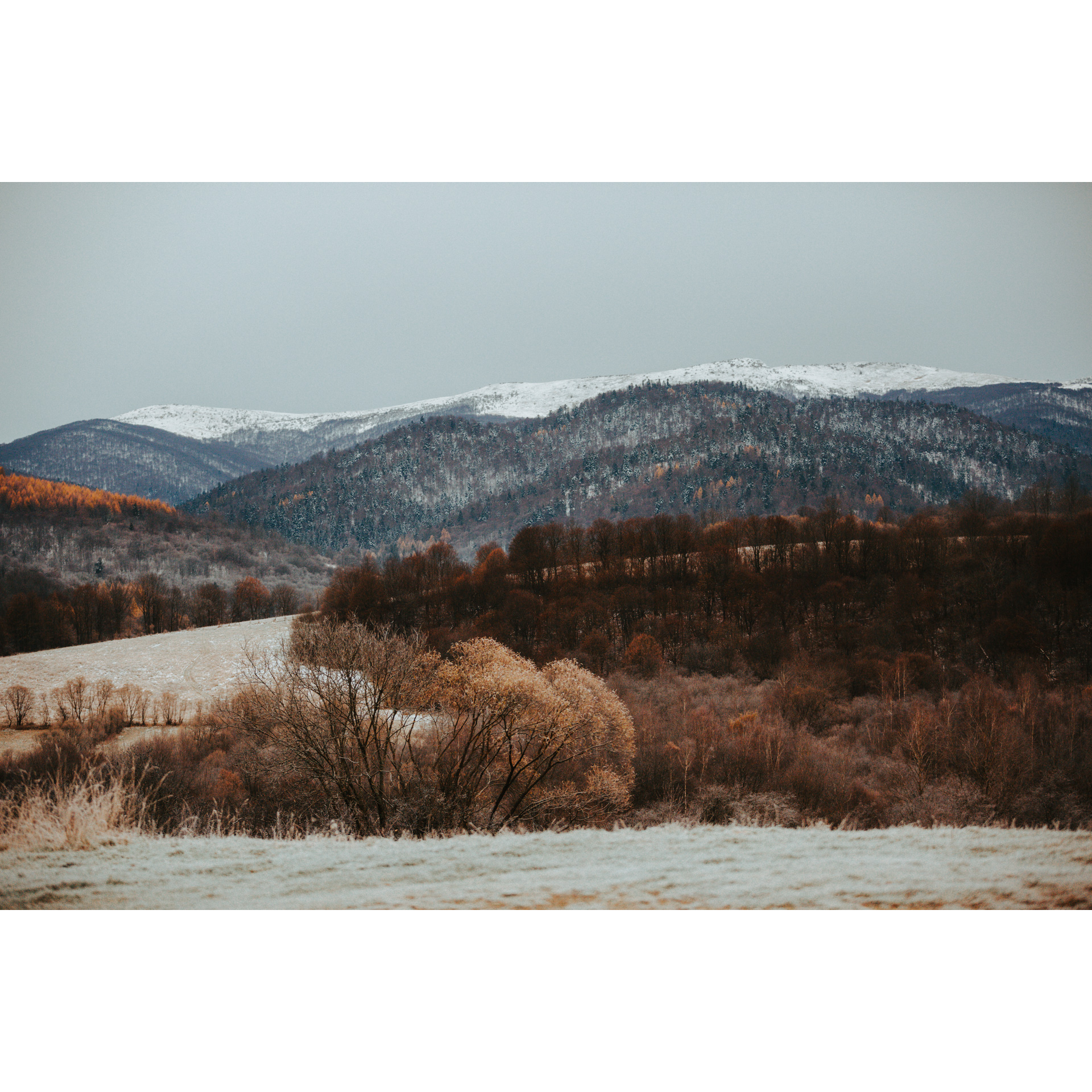 Forested and frosted hills with a panorama of mountain ranges in the background
