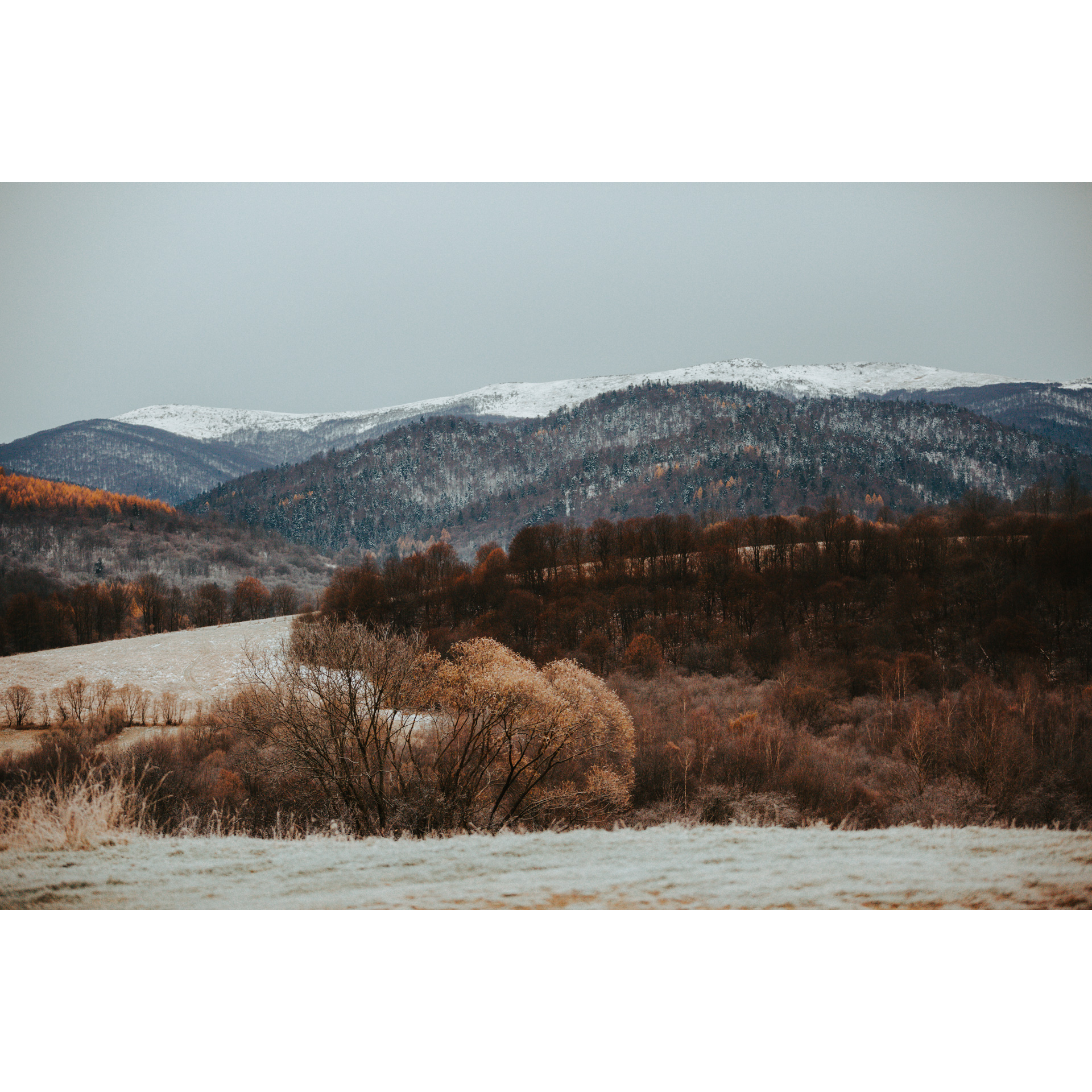 Zalesione i oszronione wzgórza na tle panoramy pasm górskich