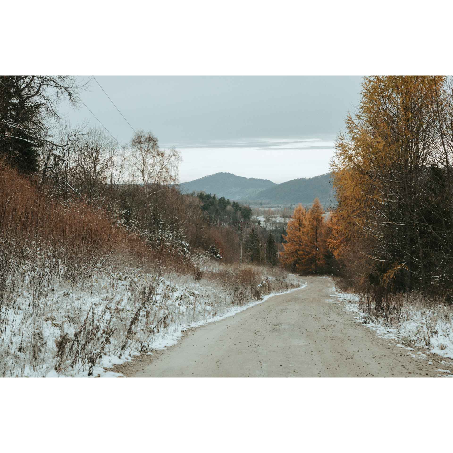 A road between trees and bushes covered with snow with a view of the mountain ranges