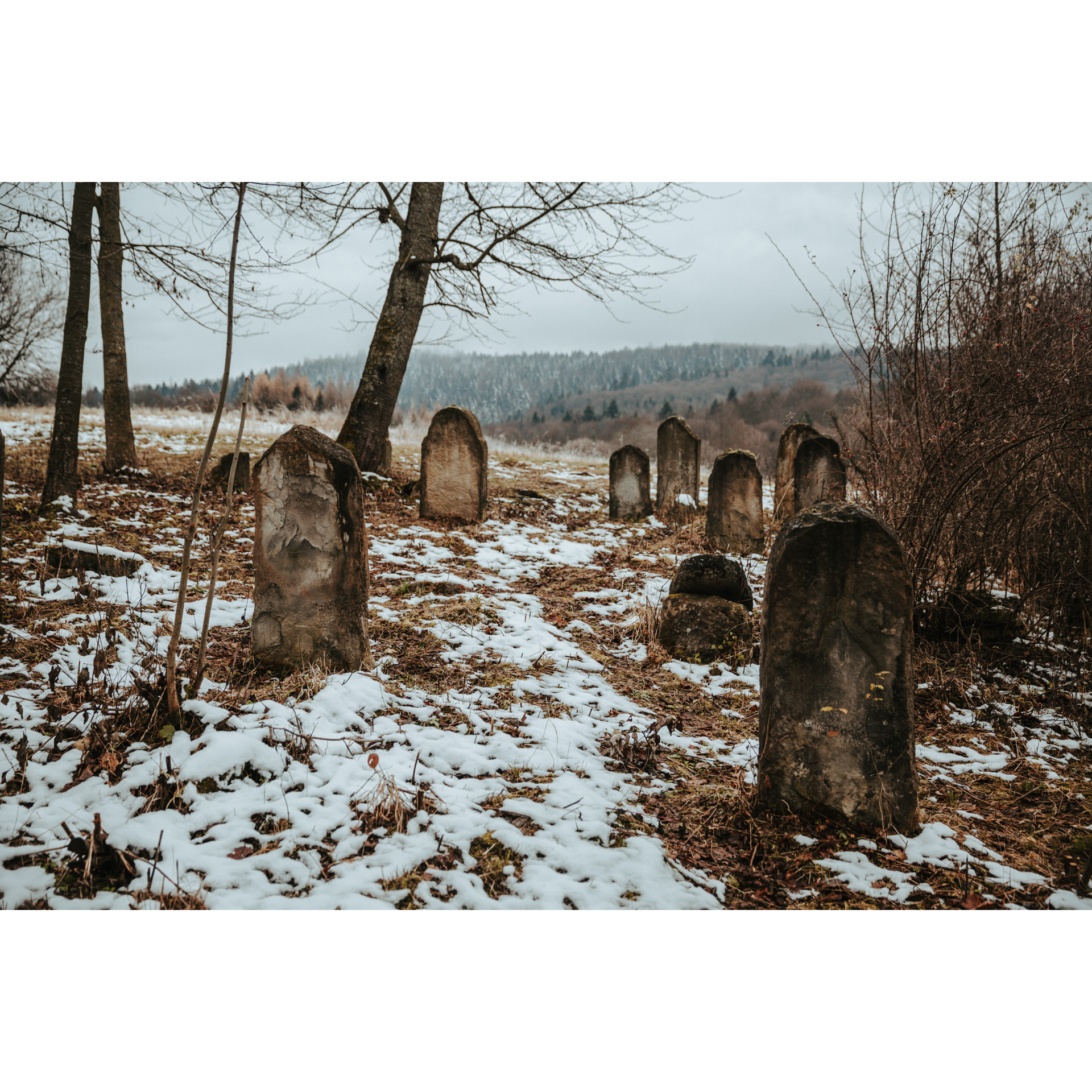 Old stone tombstones among leaves, trees and snow