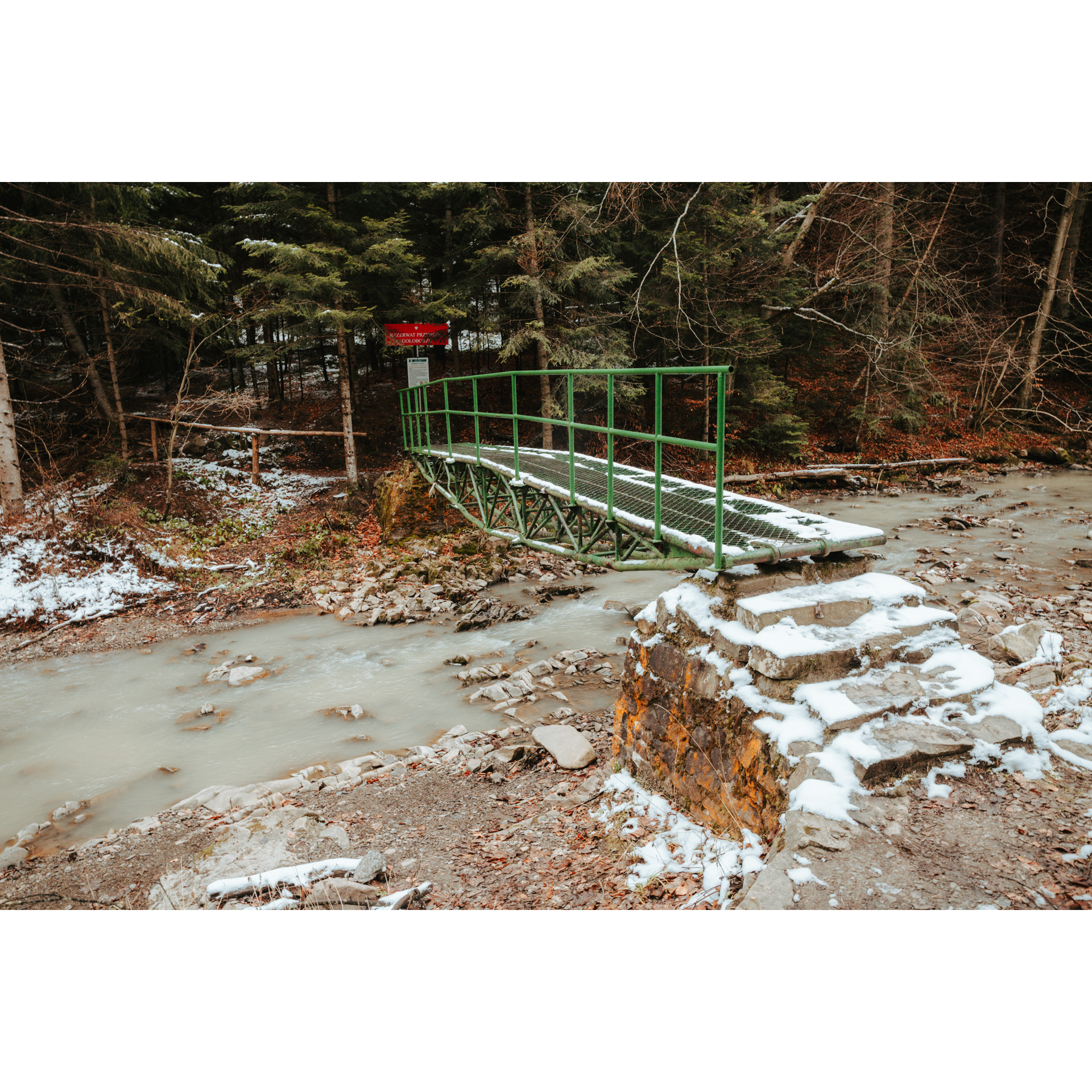 Green metal bridge over the river leading to the forest