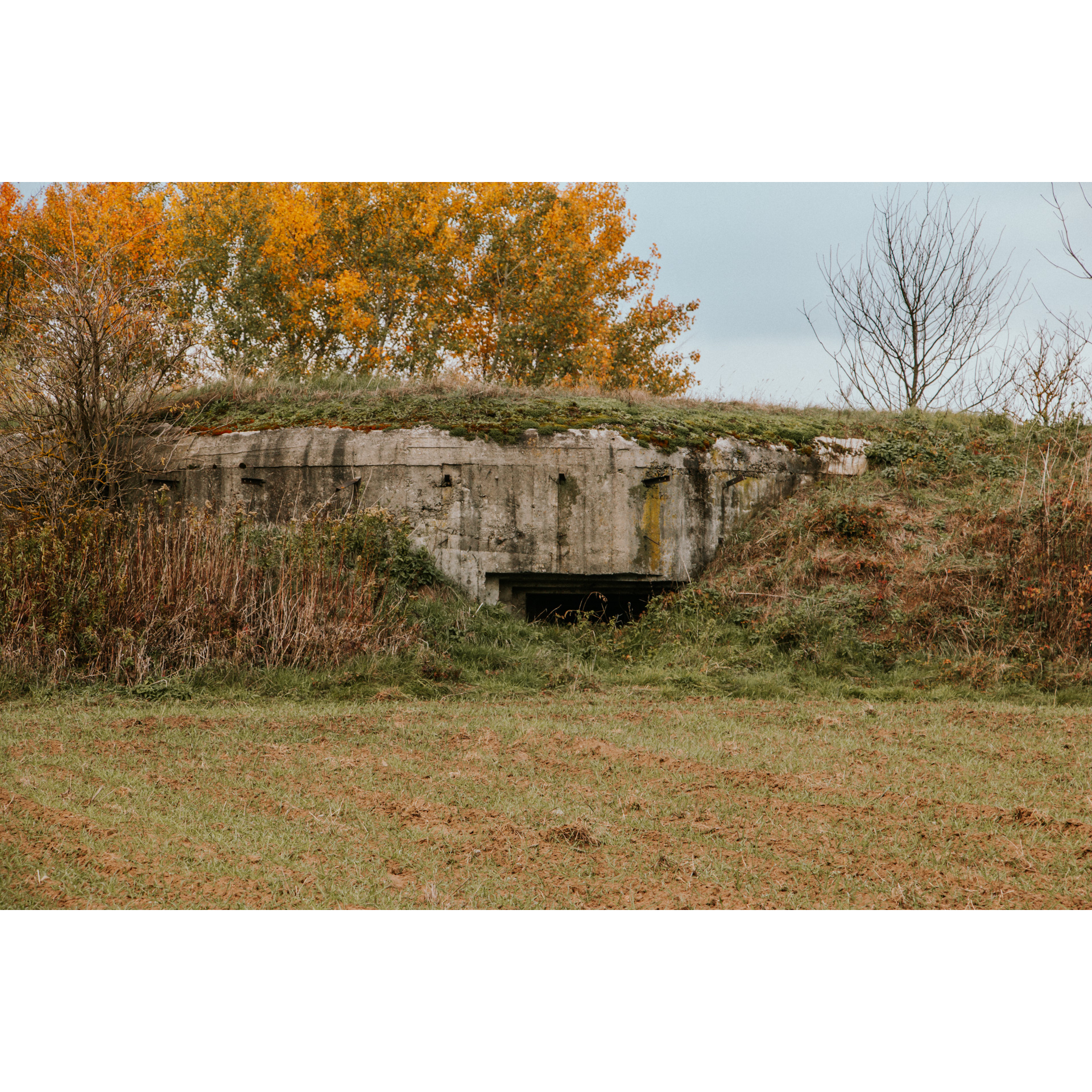 Concrete buildings hidden among grasses, trees and landforms, in the center a small hole, low to the ground, leading deep into the hill, in the background a tree covered with golden, yellow leaves