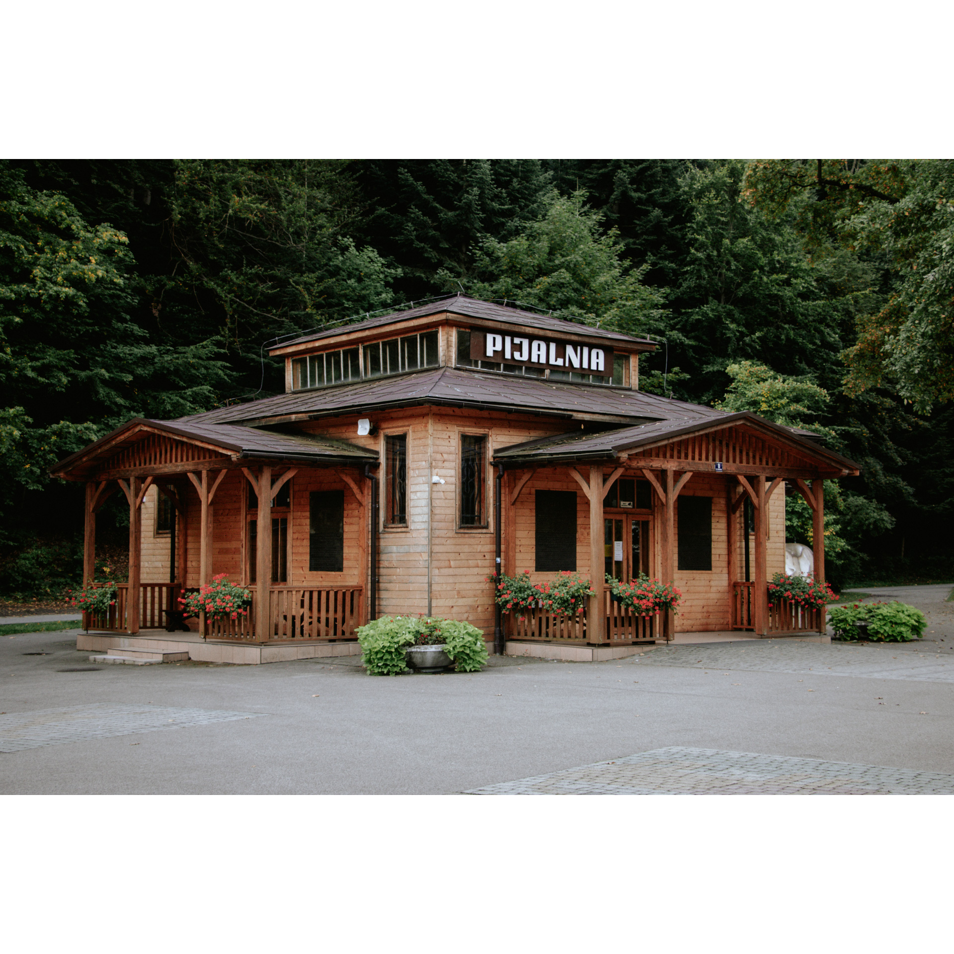 A small building - a wooden structure with two covered terraces. Around the dense green trees, flowers in pots at the entrance to the building. In the middle of the building there is a large, legible, white inscription "Pijalnia"