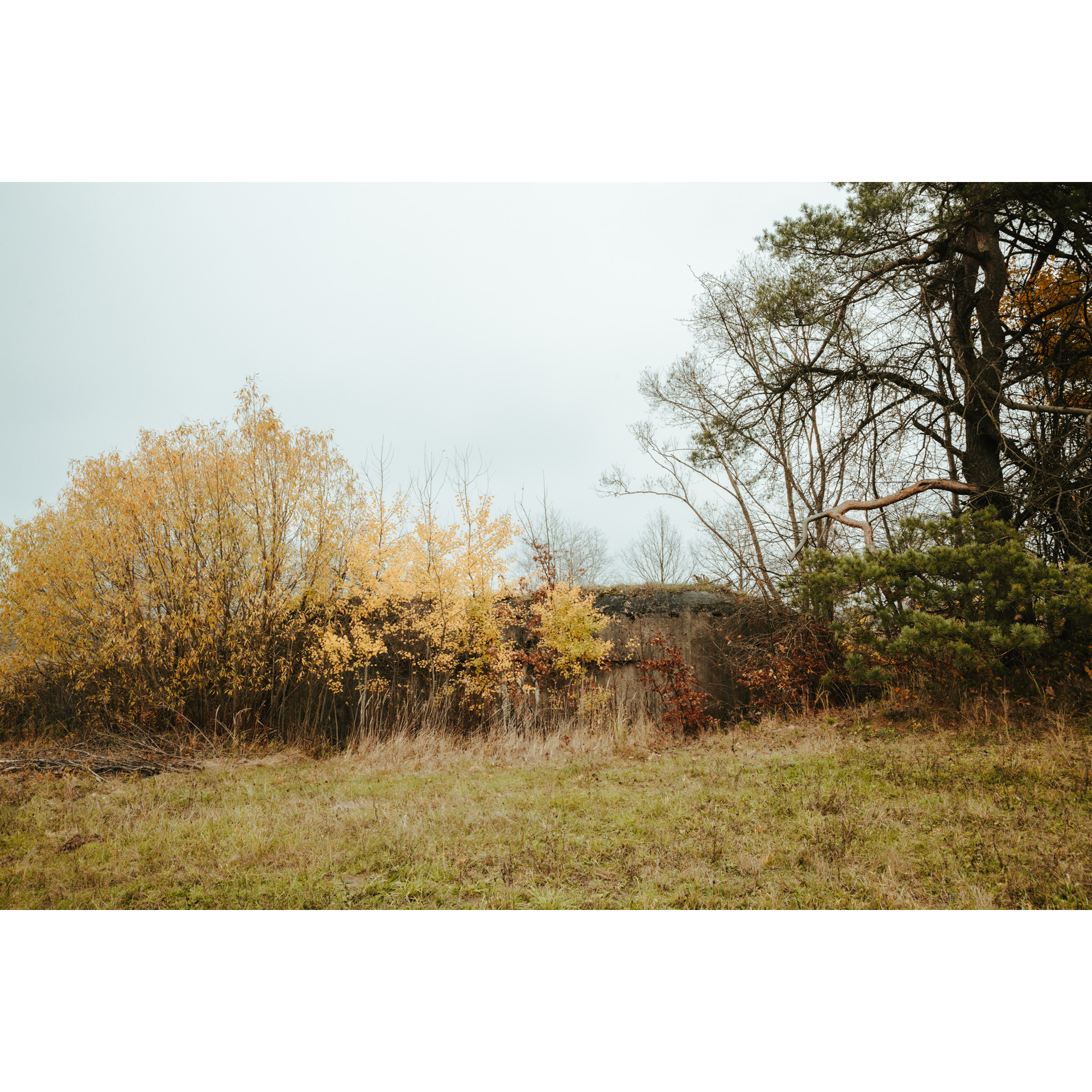 Hrebcianka Hill - Point of Resistance of the Molotov Line