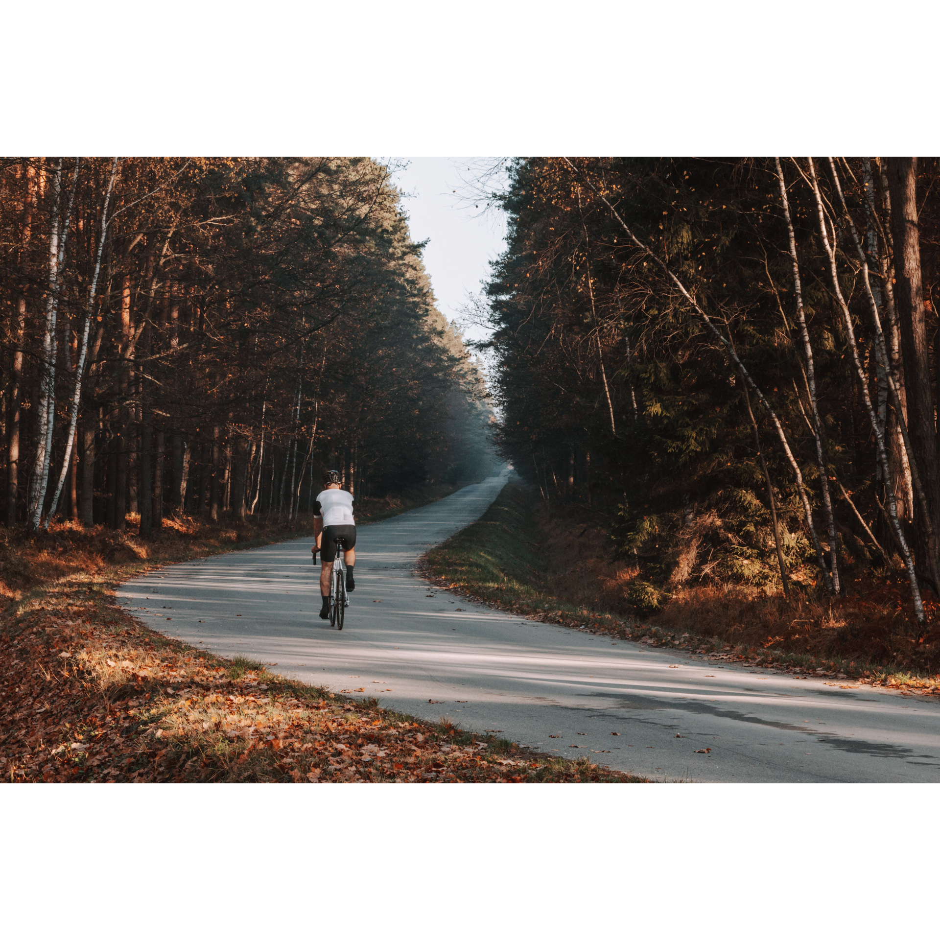 A cyclist in a white T-shirt and black shorts riding up an asphalt road among the forest