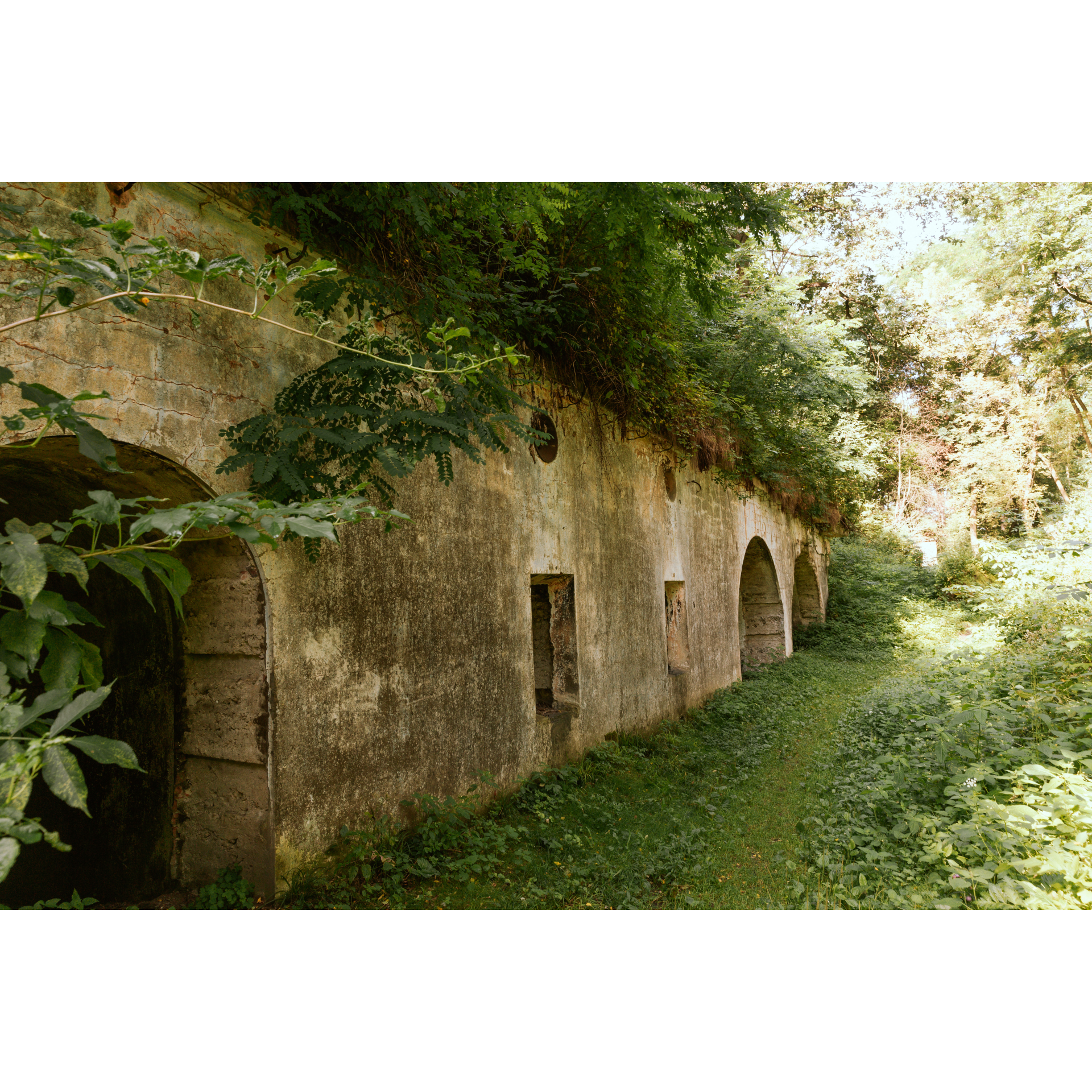 Overgrown Fort "Grochowce"