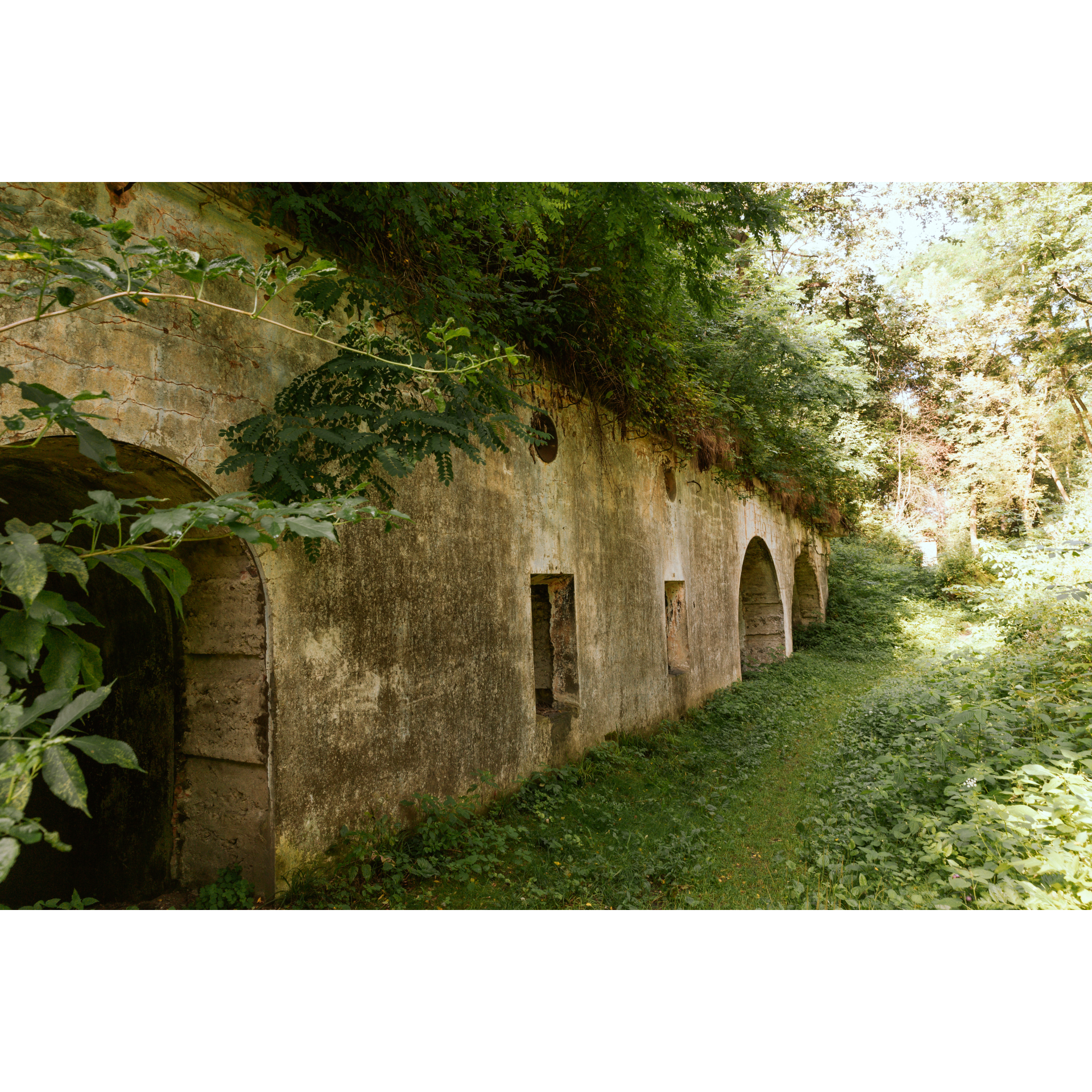 Zarośnięty Fort "Grochowce"