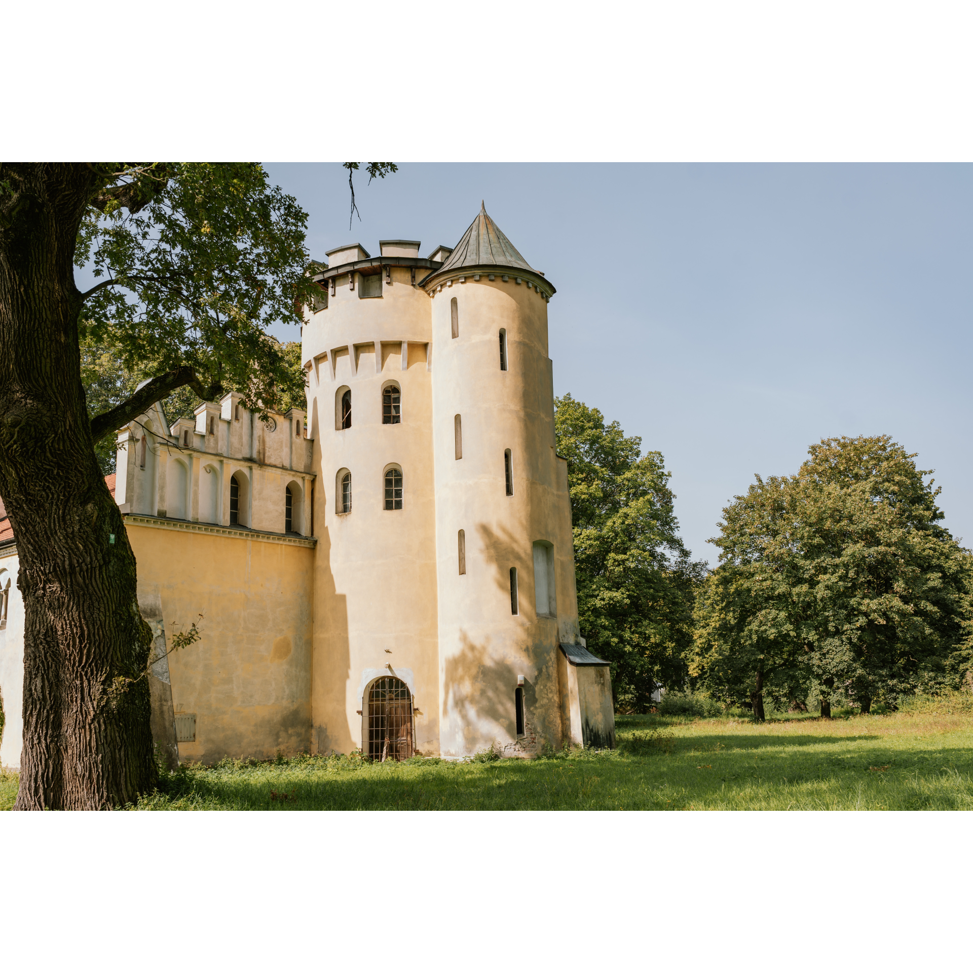 Castle from behind the tree