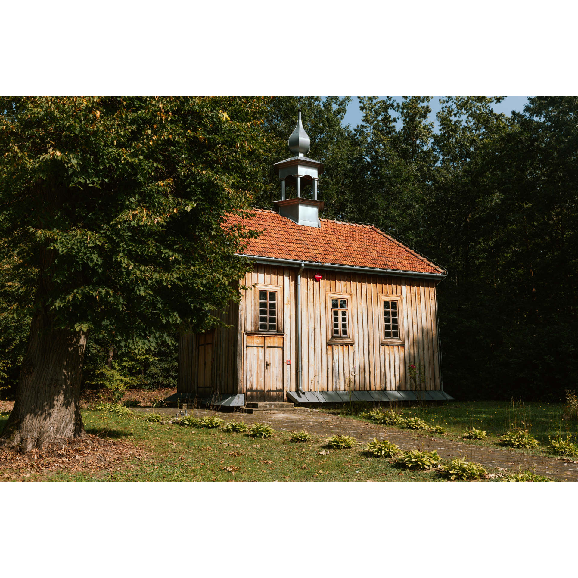 Church among the trees