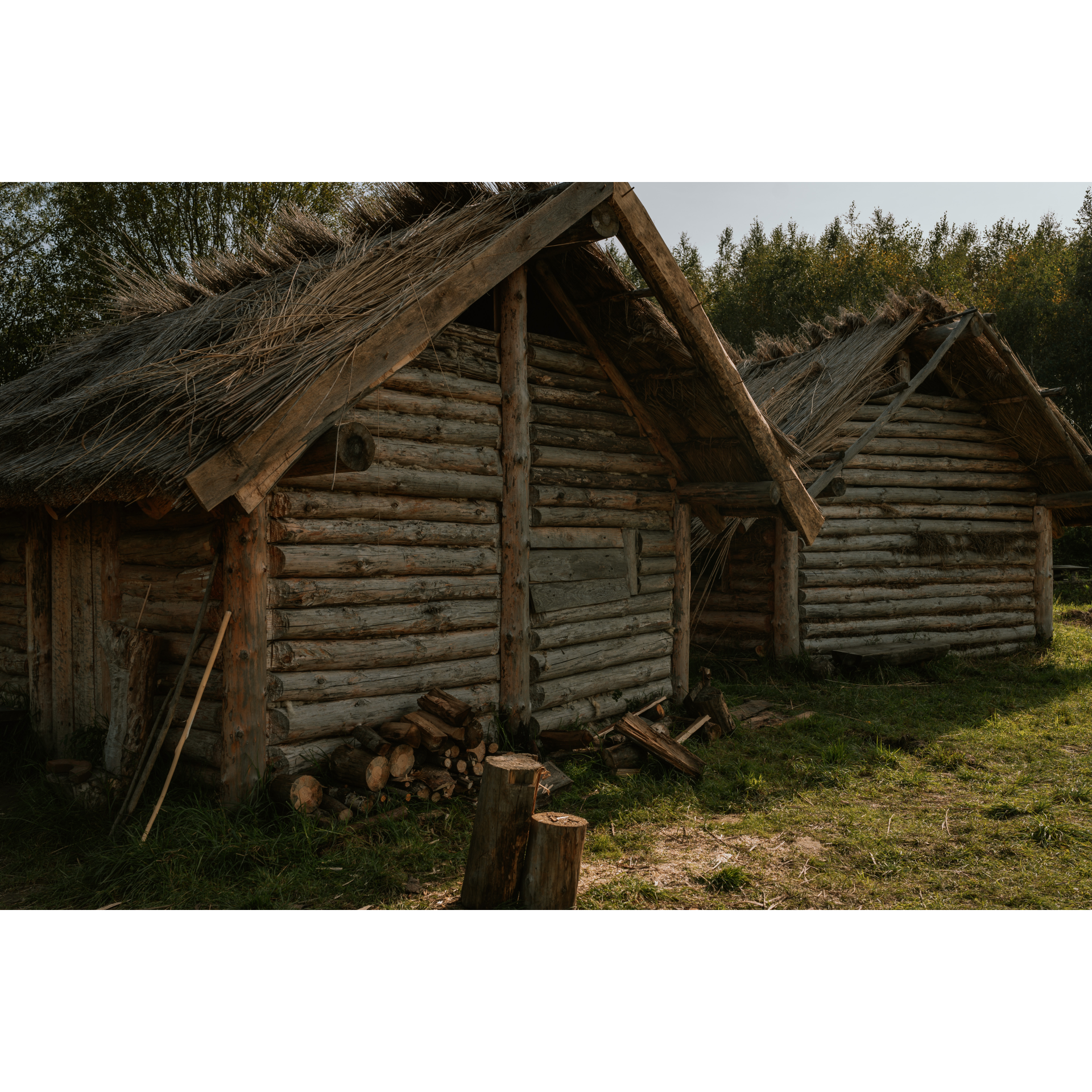 Wooden house