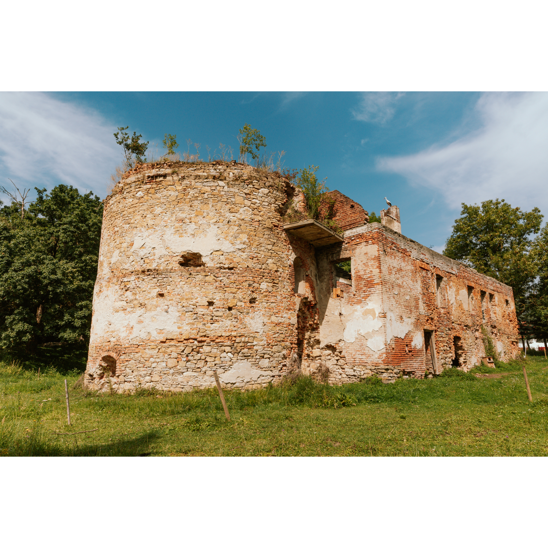 Zamek Fredrów
