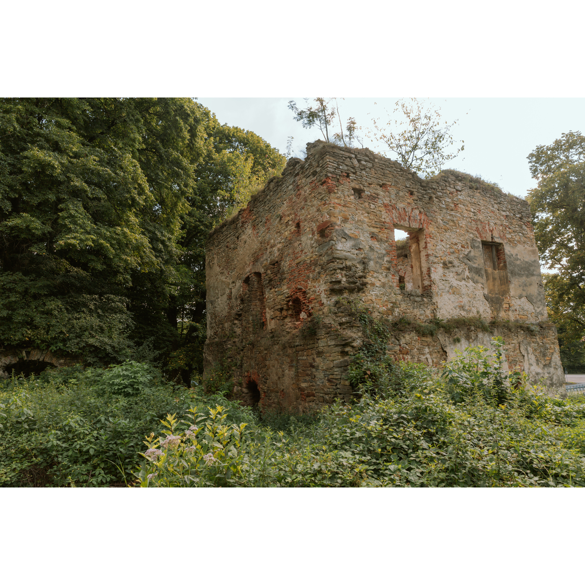 Ruins of the castle in Dąbrówka Starzeńska