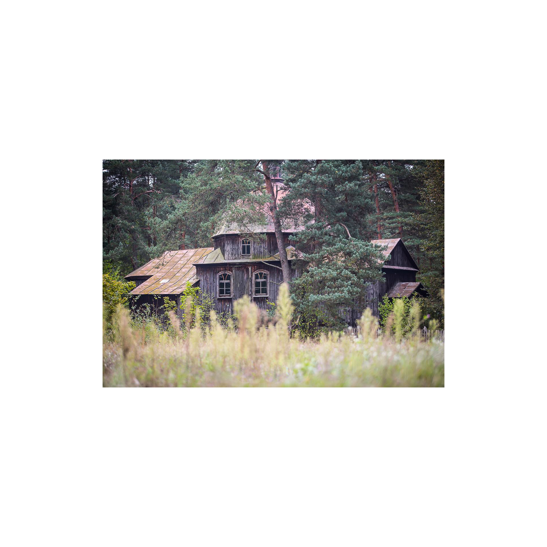 An old, dilapidated, wooden church among tall grasses and trees