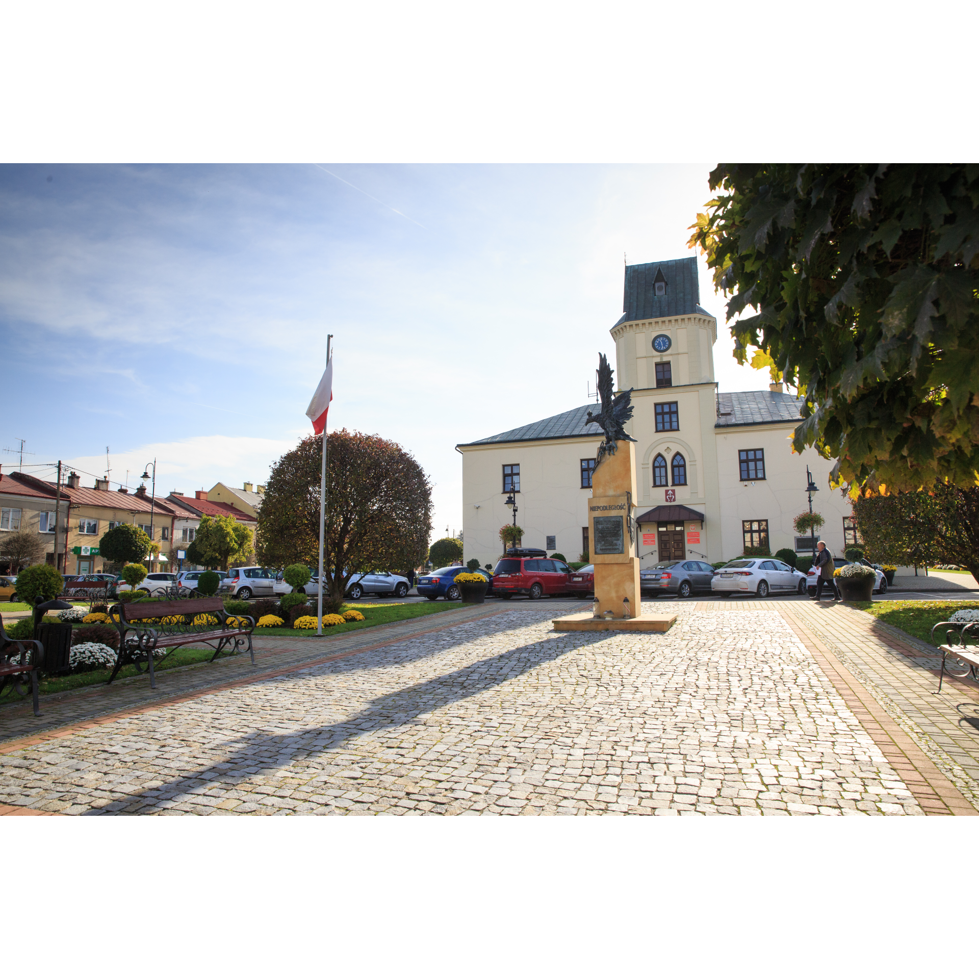 Market square in Sędziszów