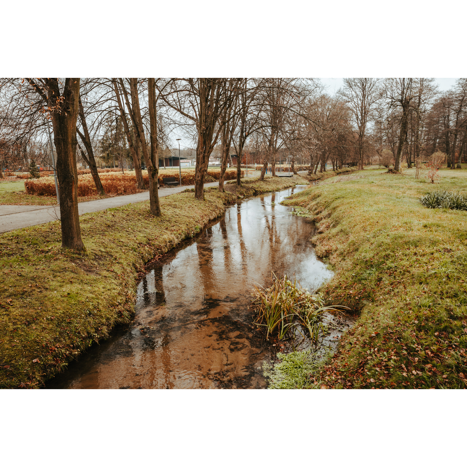 A river flowing in a park among asphalt alleys and trees