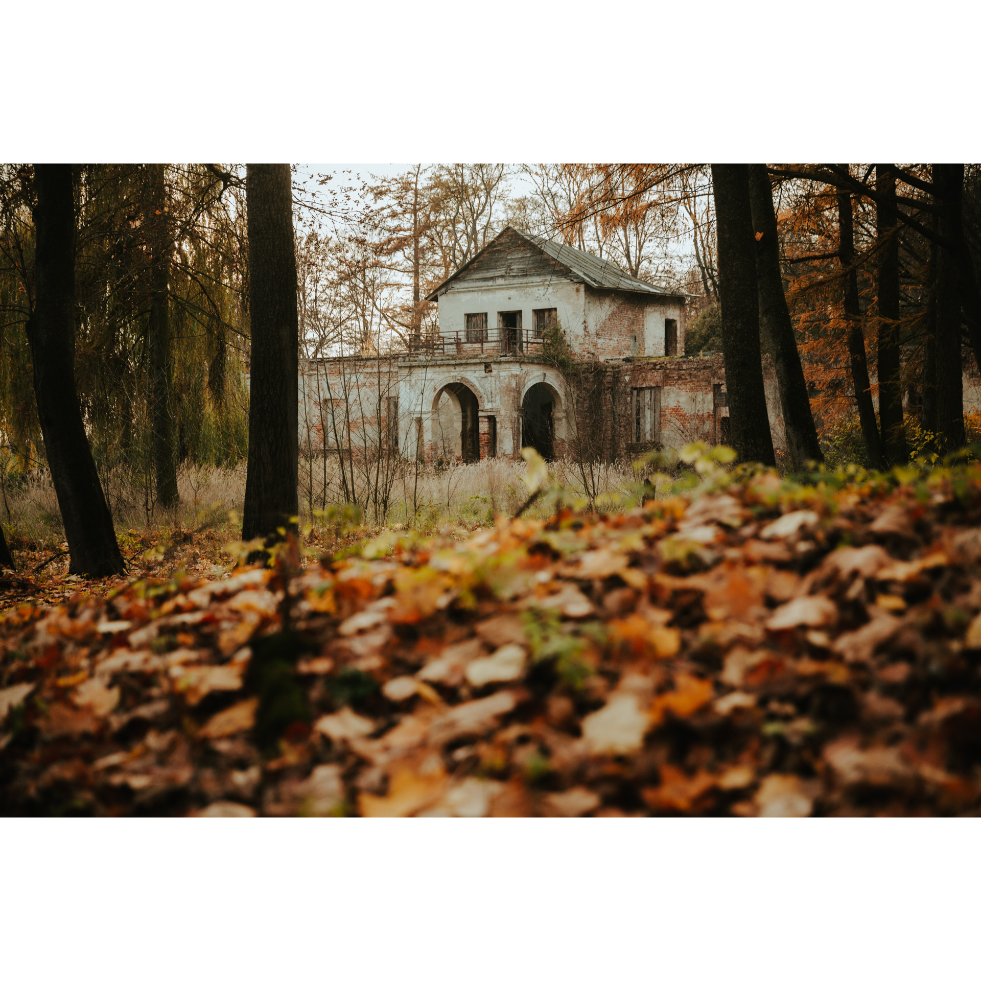The ruins of the former mansion surrounded by autumn leaves