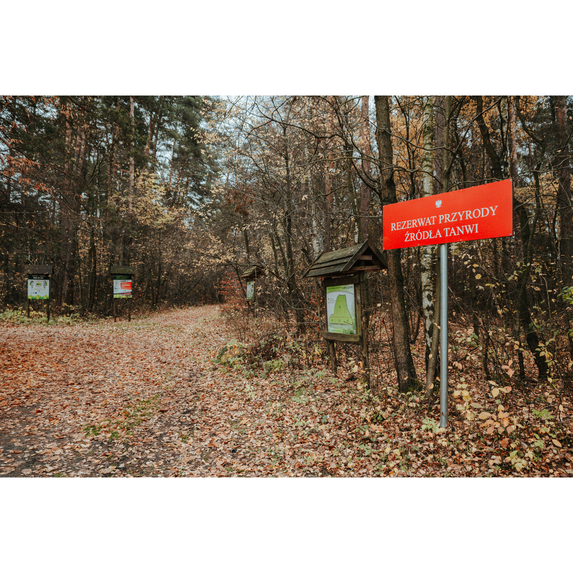 Leśna ścieżka pokryta liśćmi z czerwoną tabliczką informacyjną po prawej stronie