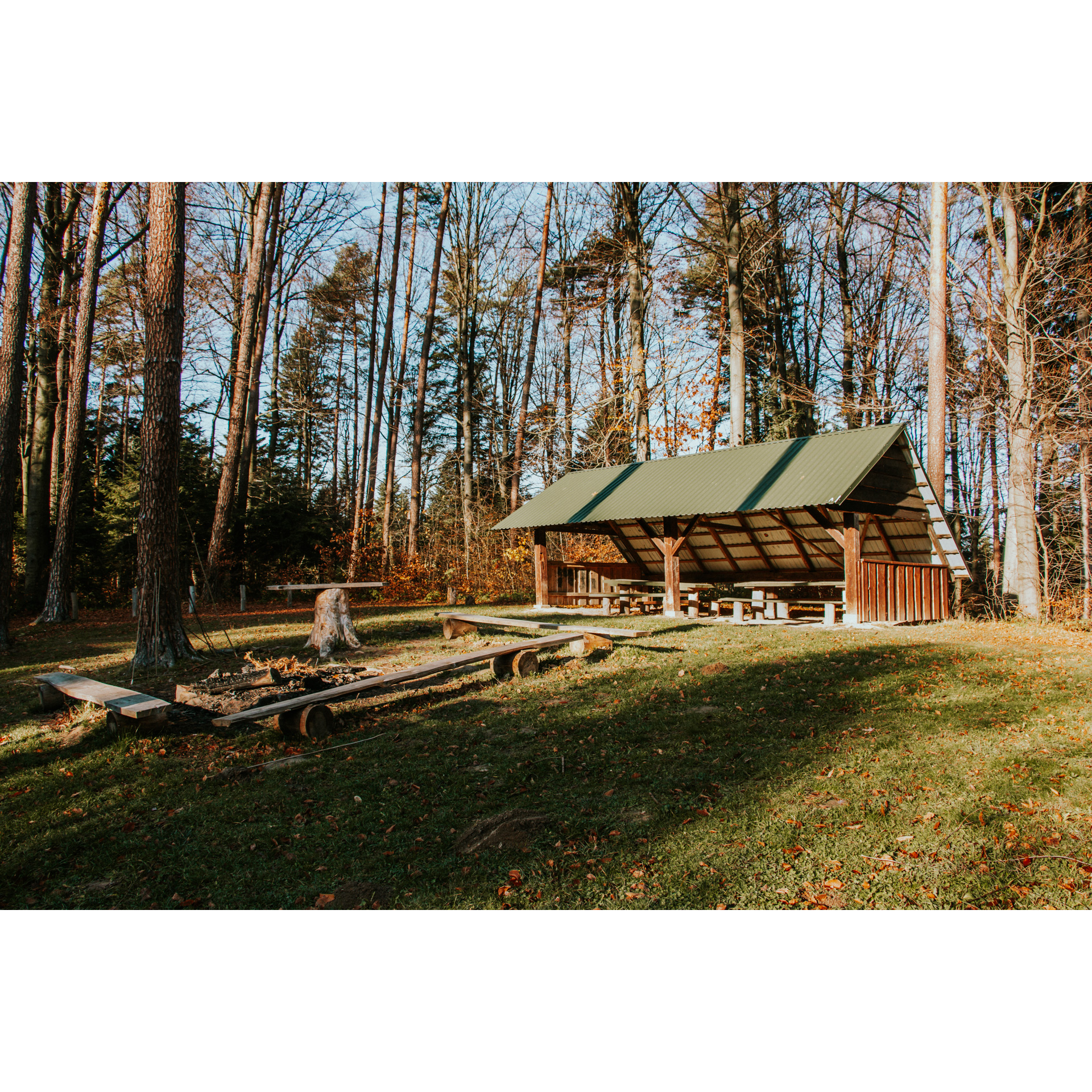 Wooden shelter in the forest with a sloping roof with a fire pit and benches made of tree trunks