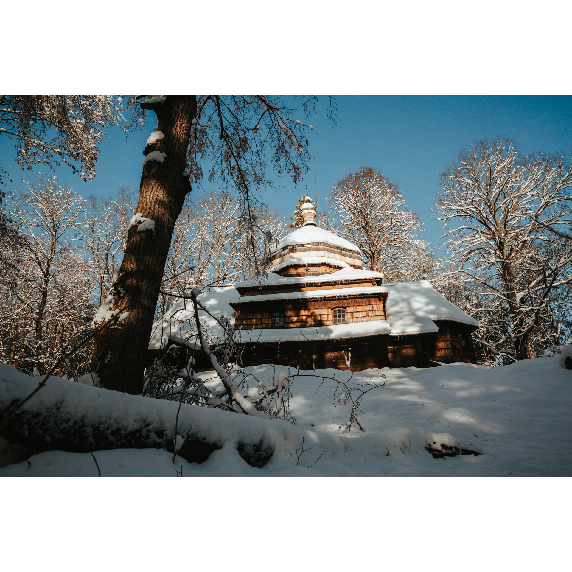 Snow-covered wooden church among forest trees