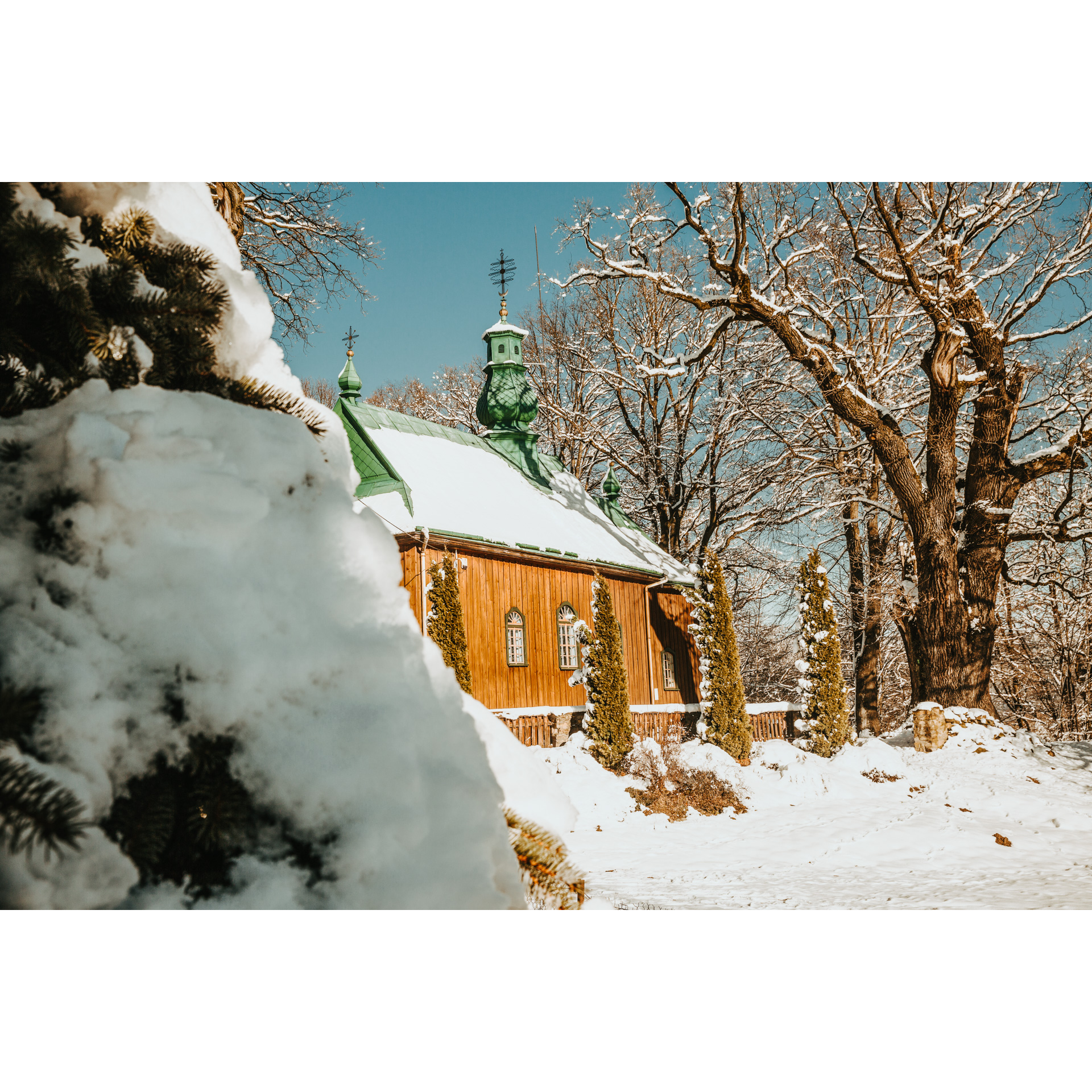 A wooden church with a green roof and turrets with a cross seen from behind a snow-covered coniferous tree