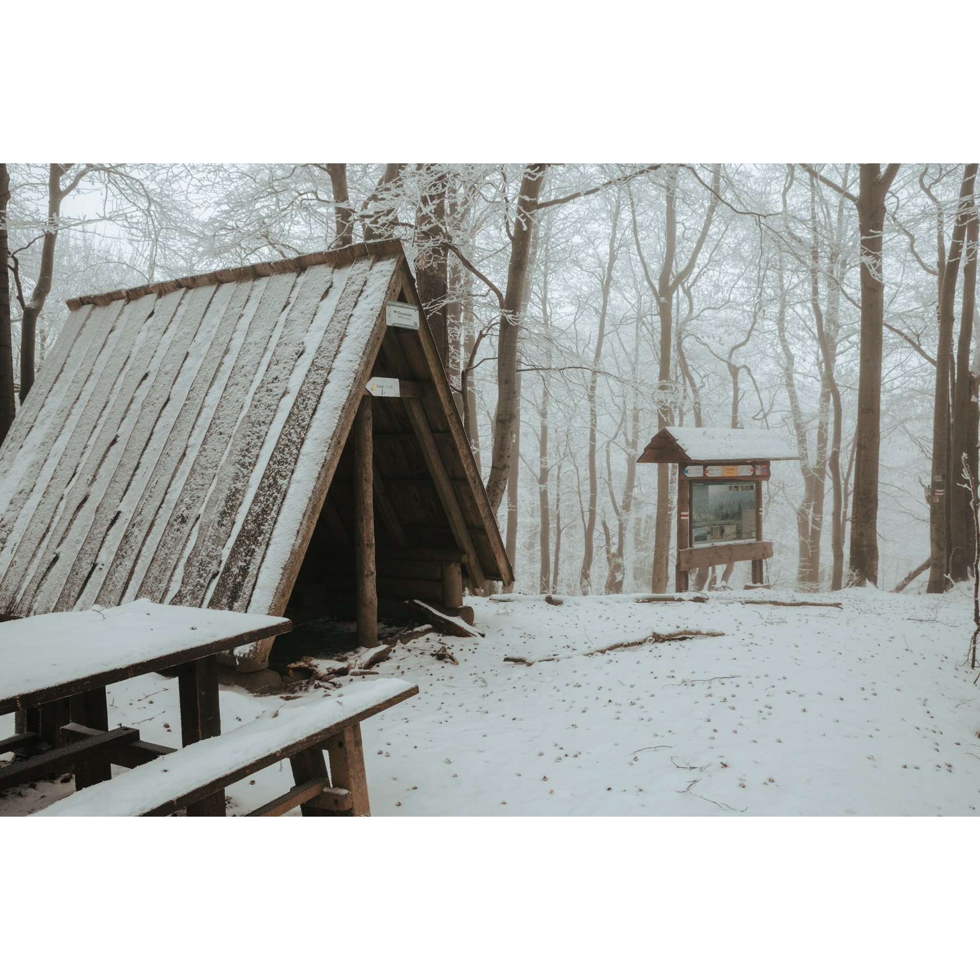 Leśna, drewniana wiata i tablica informacyjna na tle zimowych drzew
