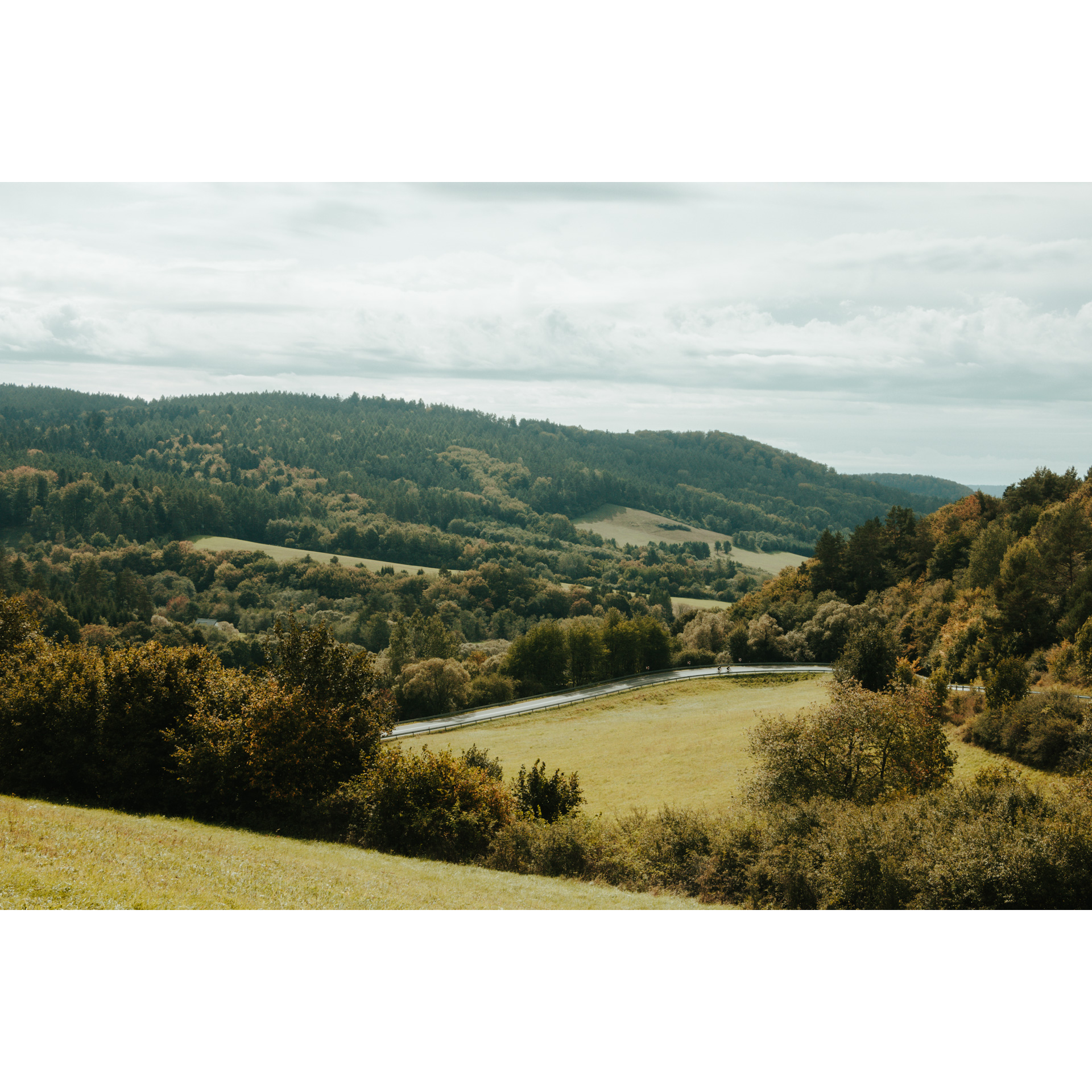 View of hills and mountains covered with forests