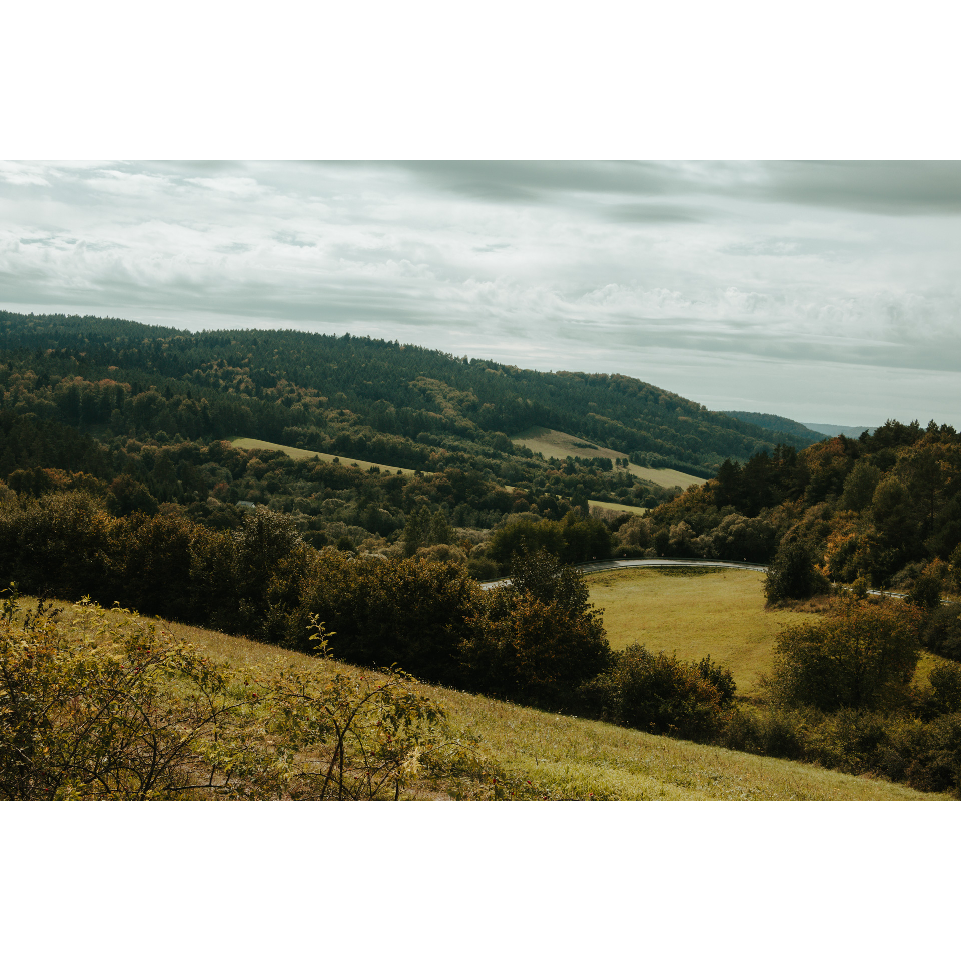 View of hills and mountains covered with forests