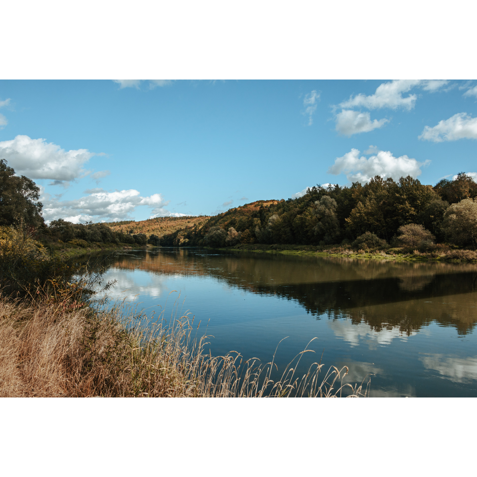 View of a body of water surrounded by trees