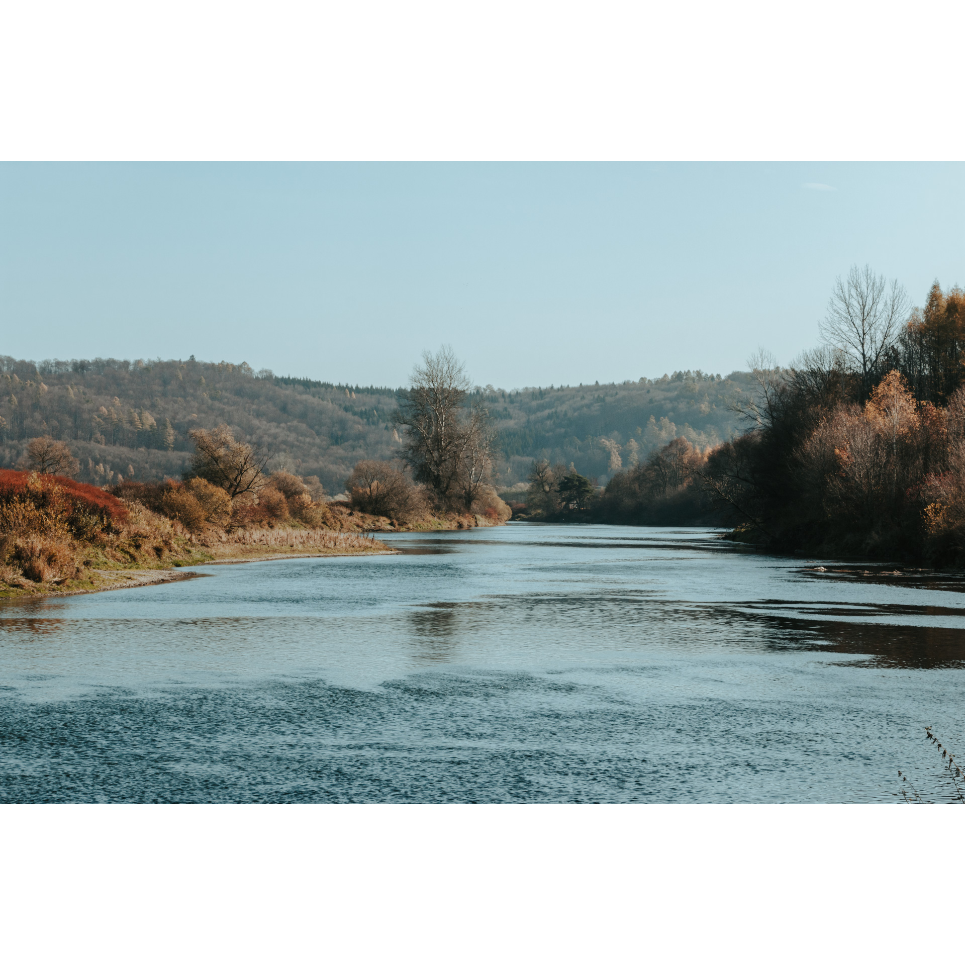 View of a river with grassy banks and forested hills in the distance