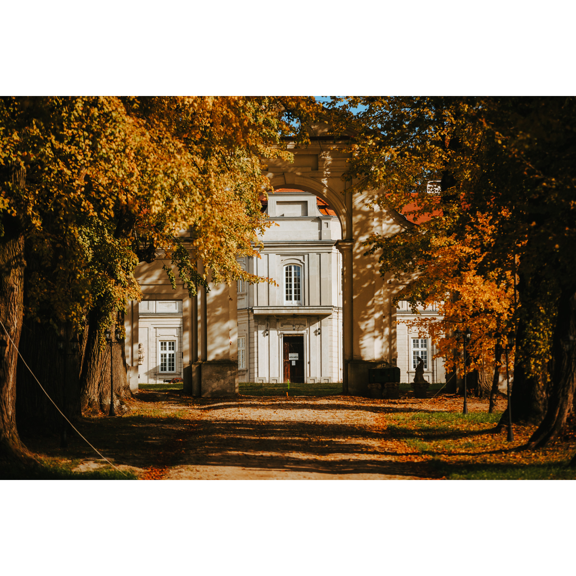 Alley of autumn trees leading to a white building with large rectangular windows