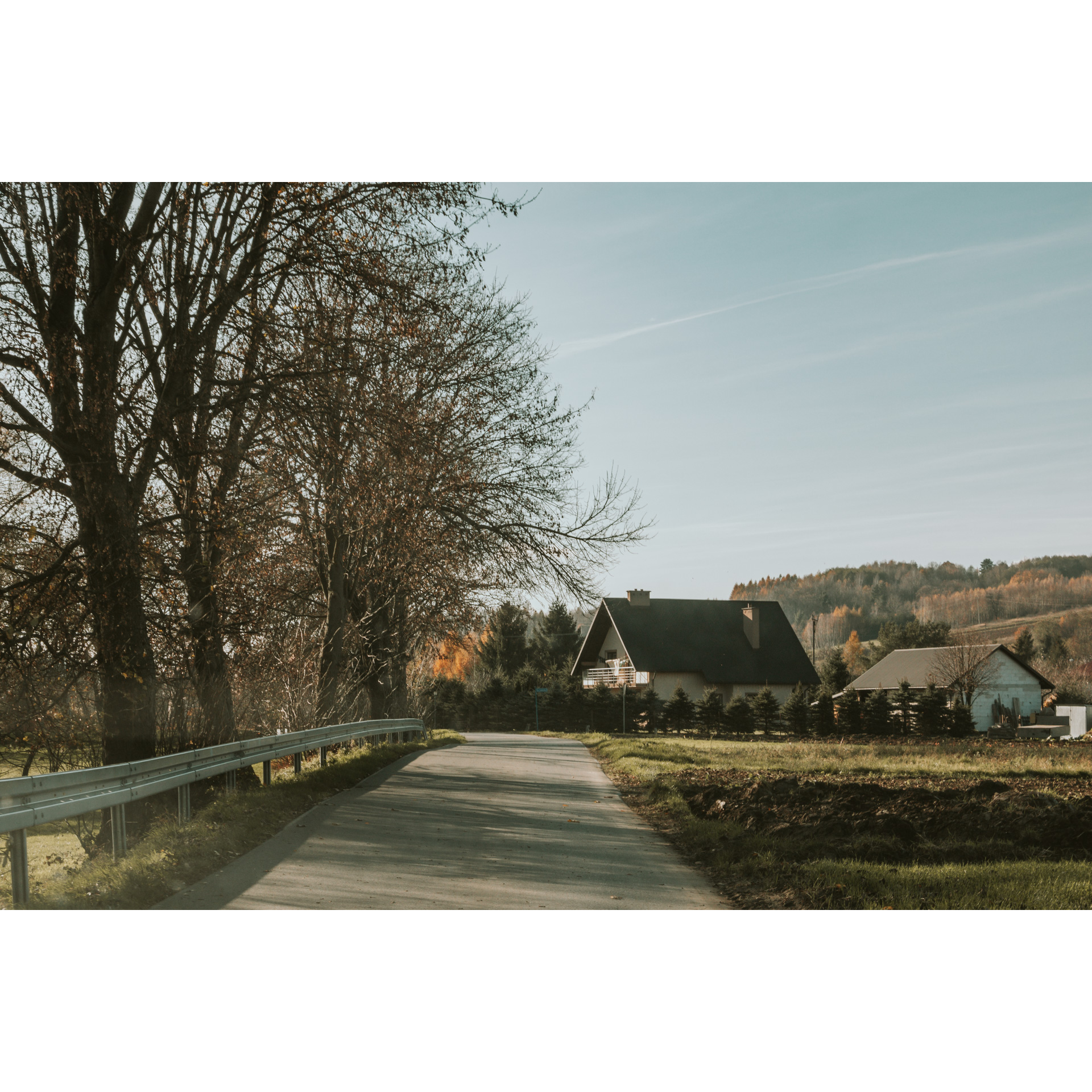 Asphalt road with dark trees on the left and light buildings with black roofs in the background