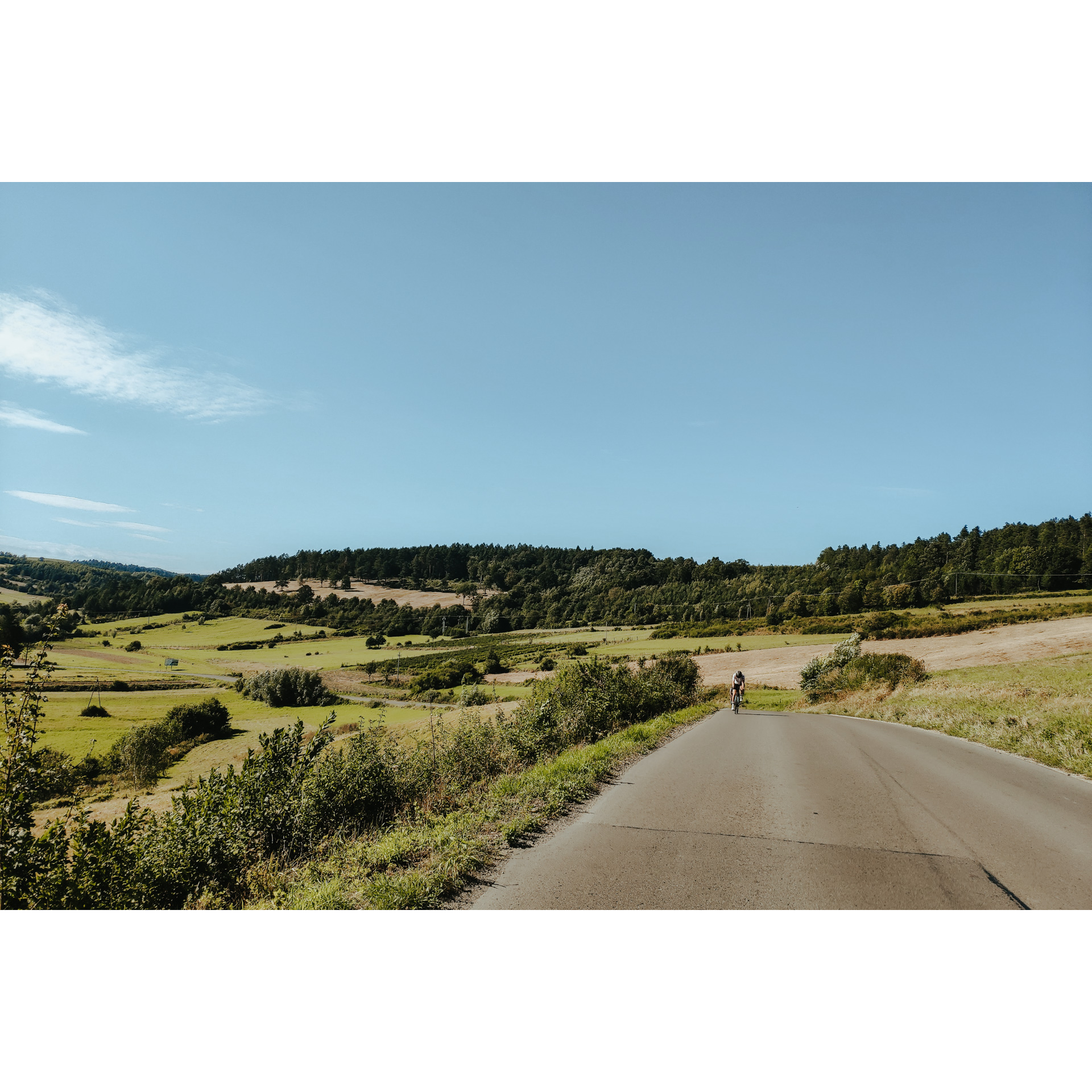 A cyclist riding an asphalt road surrounded by green hills full of trees