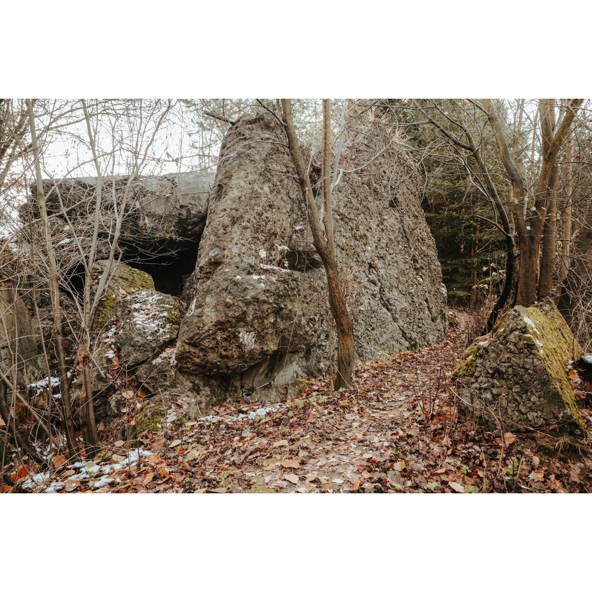 Rocks on a litter of autumn leaves