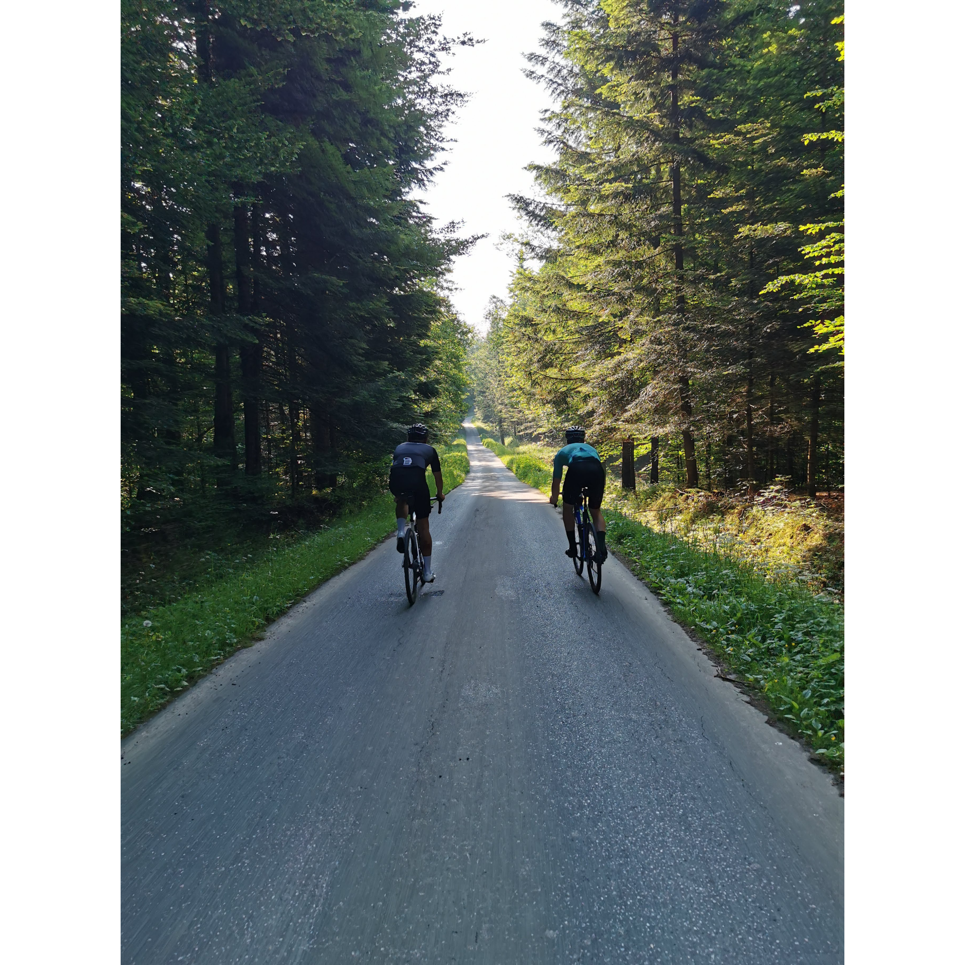 Dwójka rowerzystów w strojach kolarskich jadąca na rowerach drogą asfaltową prowadzącą przez las