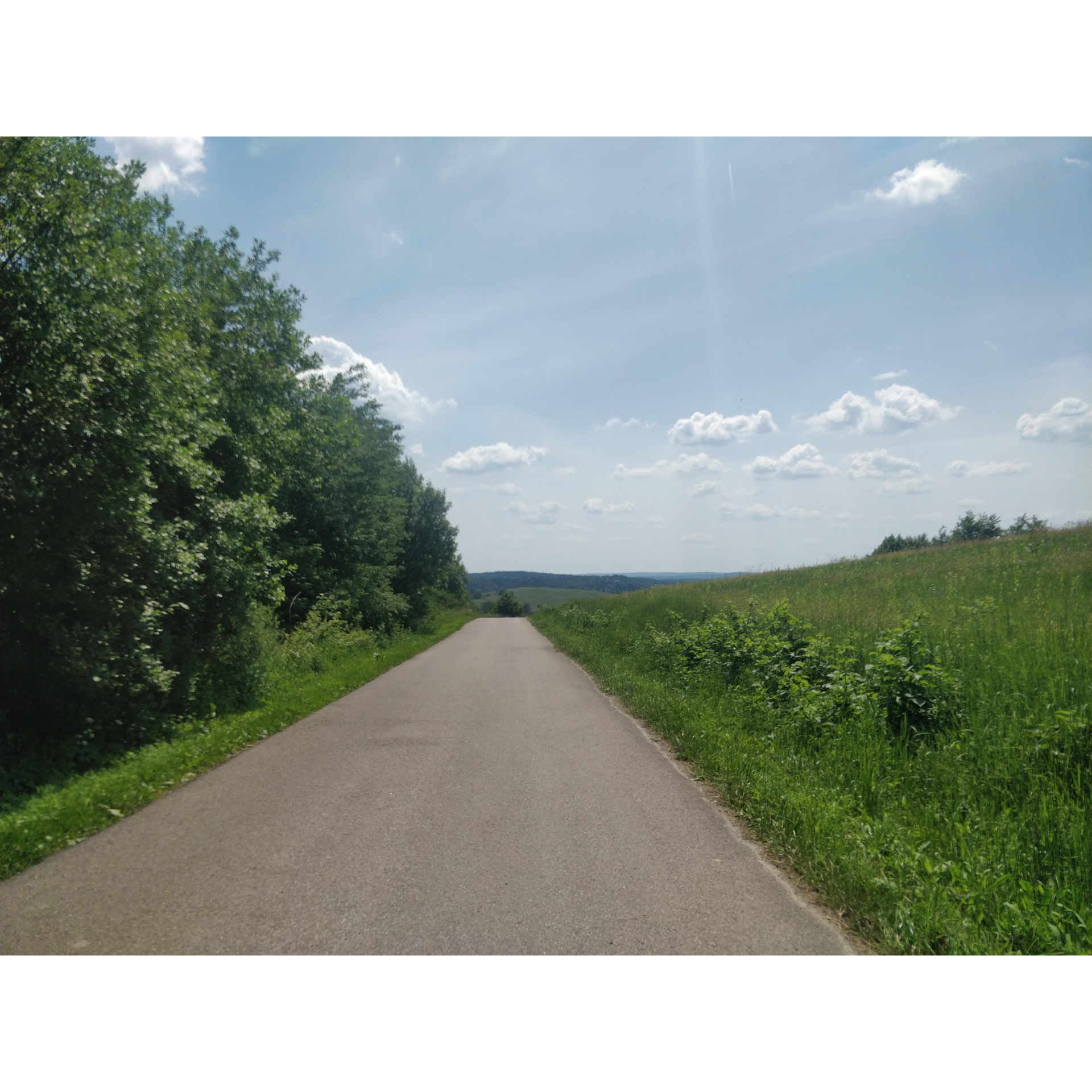 Droga asfaltowa z zielonymi drzewami na lewym poboczu i łąką na prawym poboczu