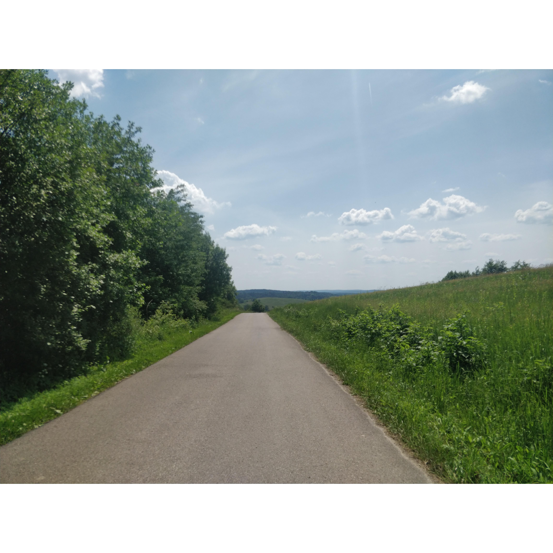 Asphalt road with green trees on the left shoulder and a meadow on the right shoulder
