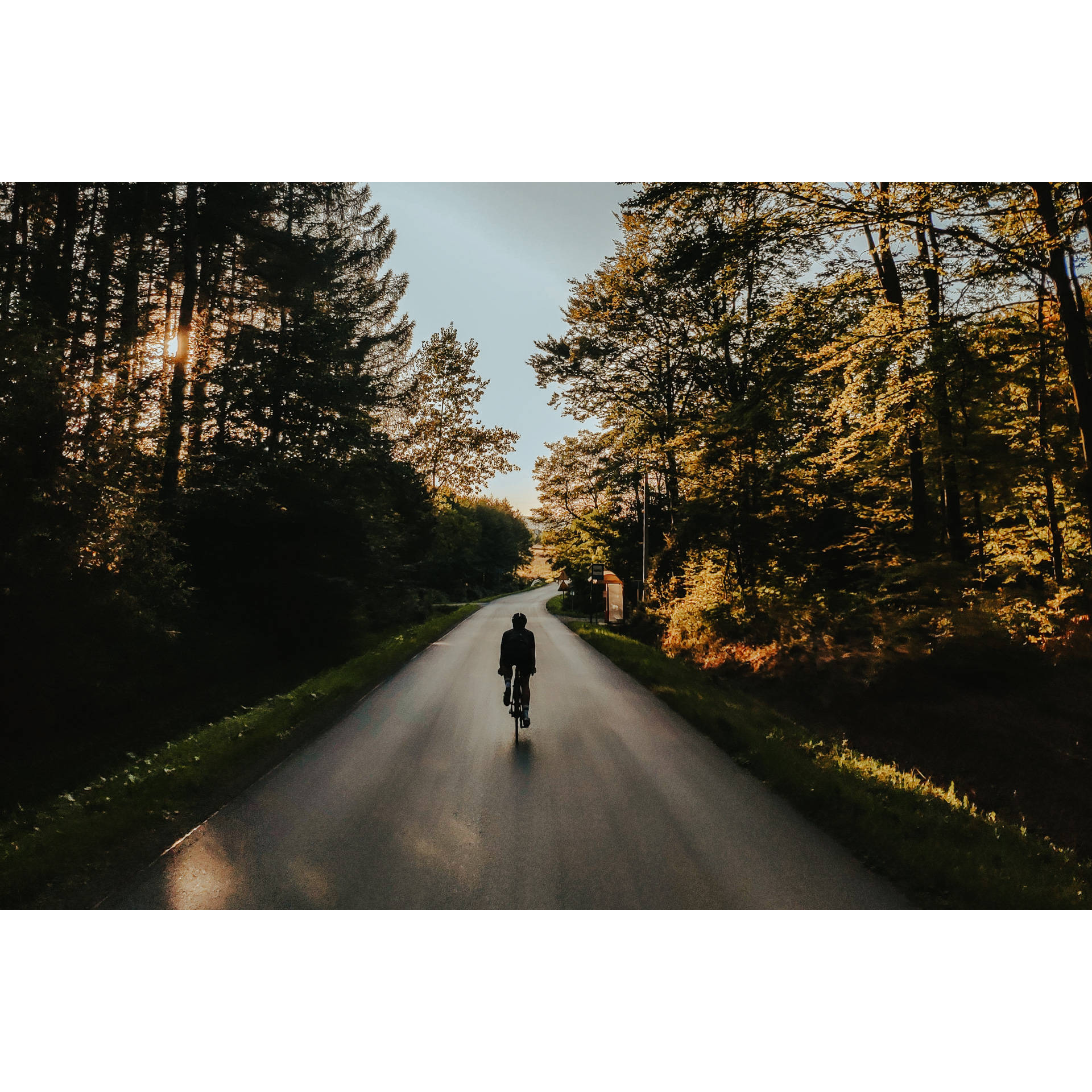 Rowerzysta jadący na rowerze drogą asfaltową prowadzącą przez las 