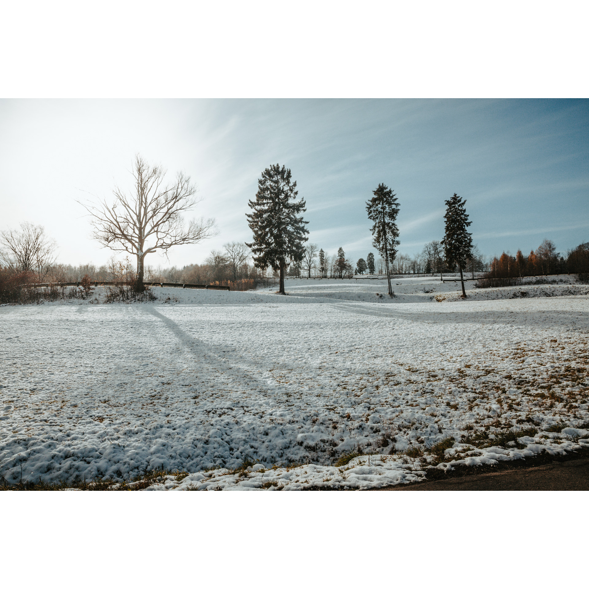 Snow-covered meadow on the background of trees