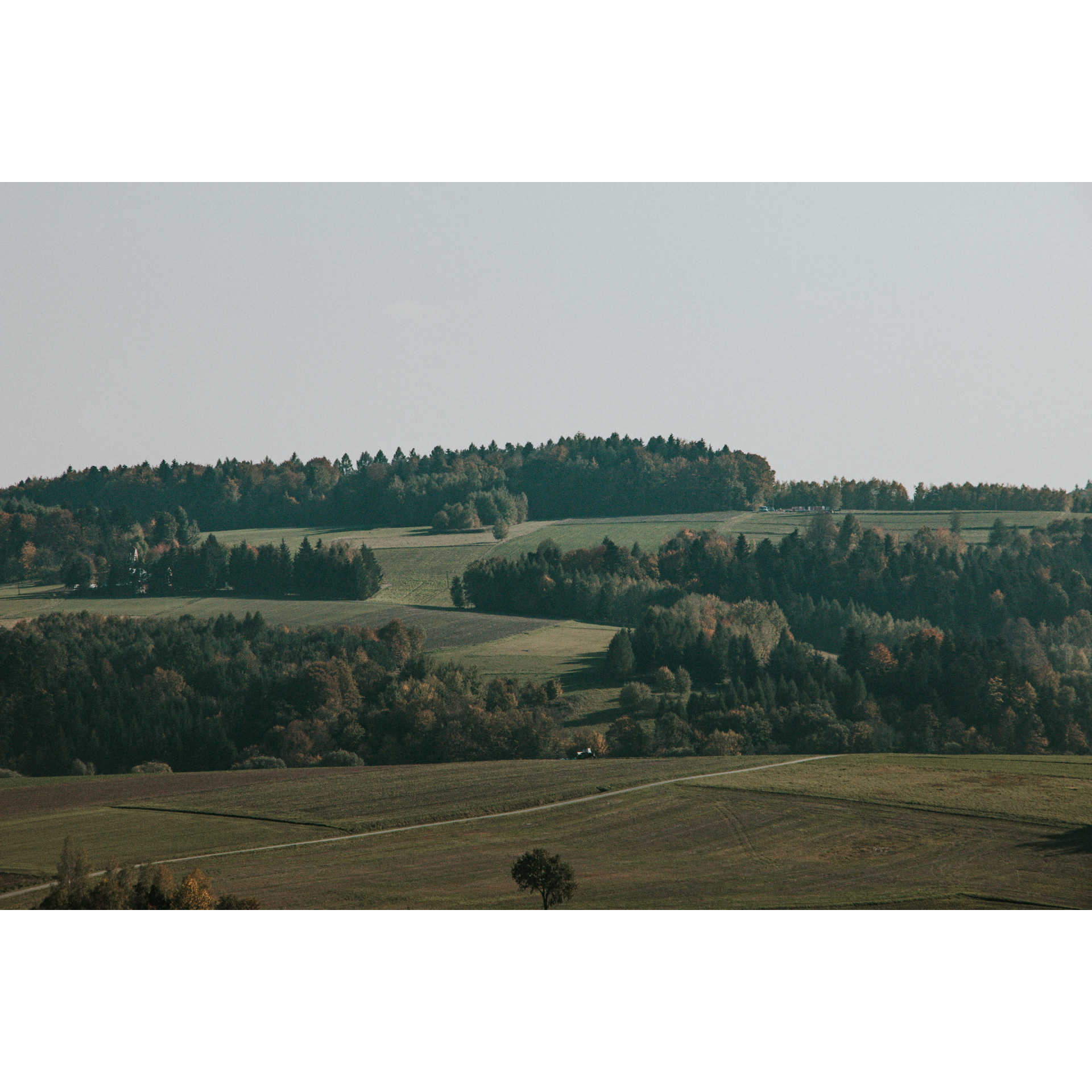 Green hills full of trees