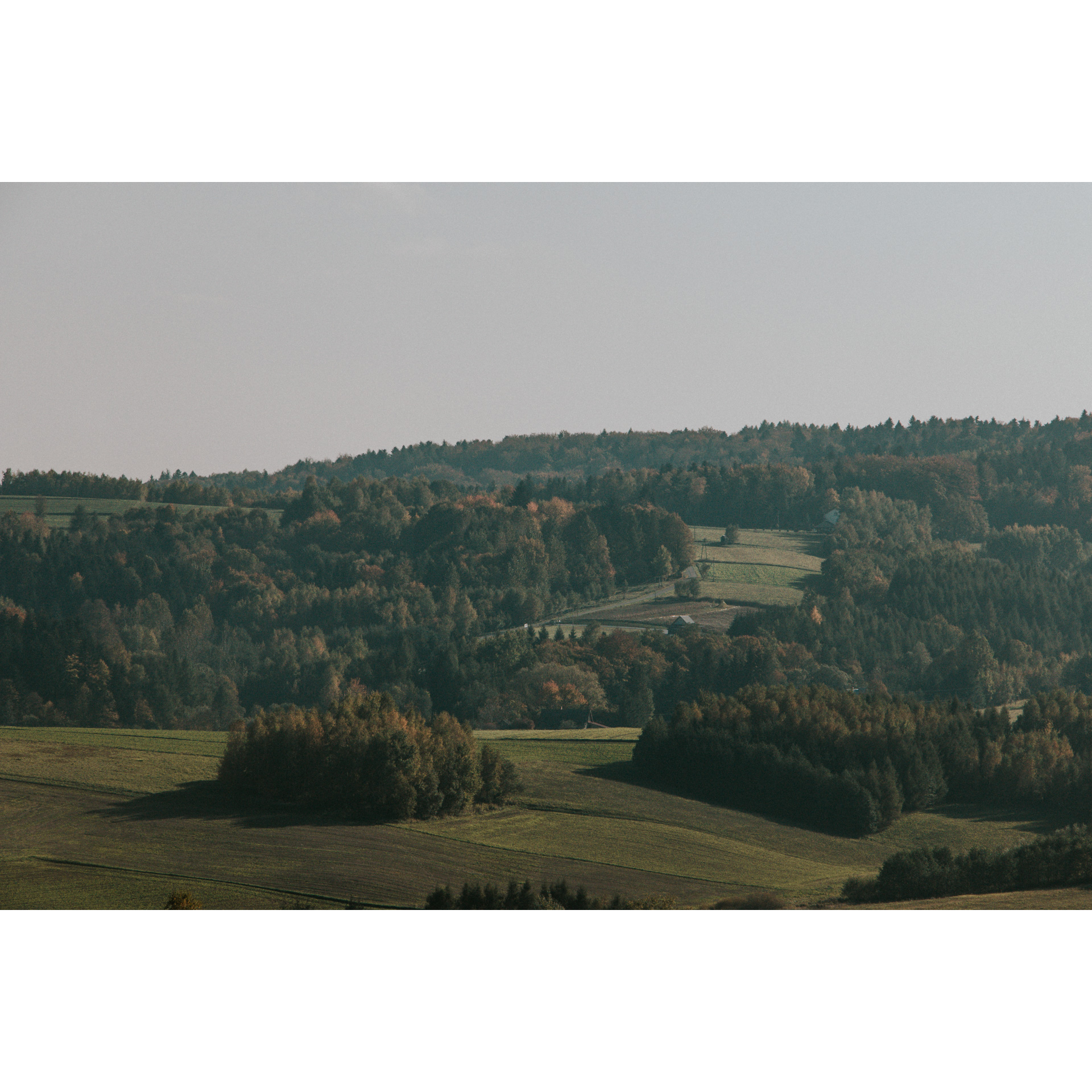 Green hills full of trees