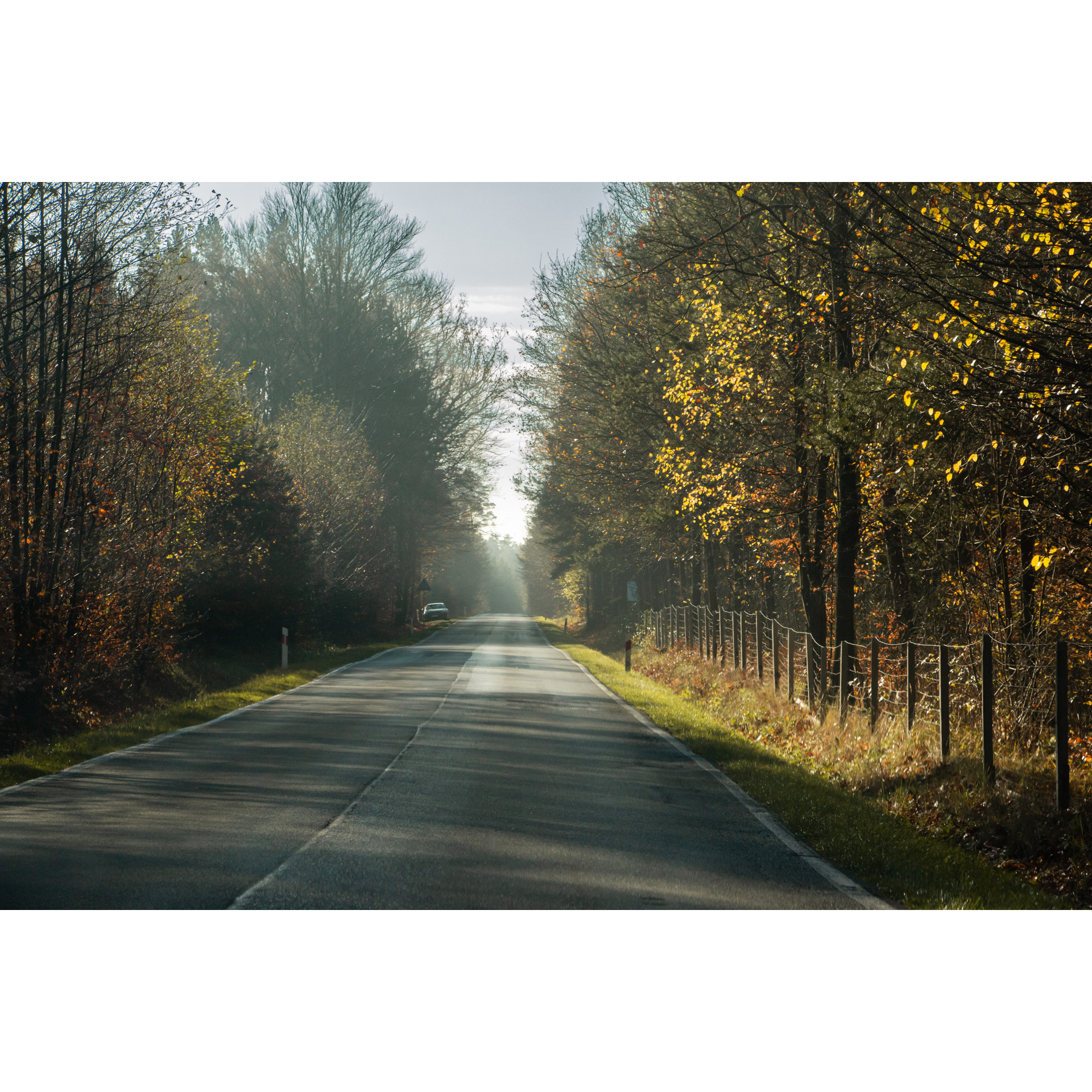 An asphalt road among trees with yellow leaves running along a low fence, in the background a car on the roadside