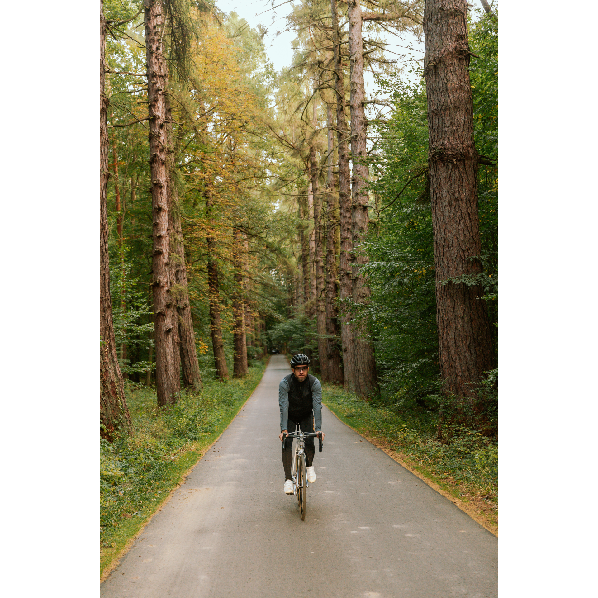 By bike from the Castle in Łańcut to the hunting lodge in Julin