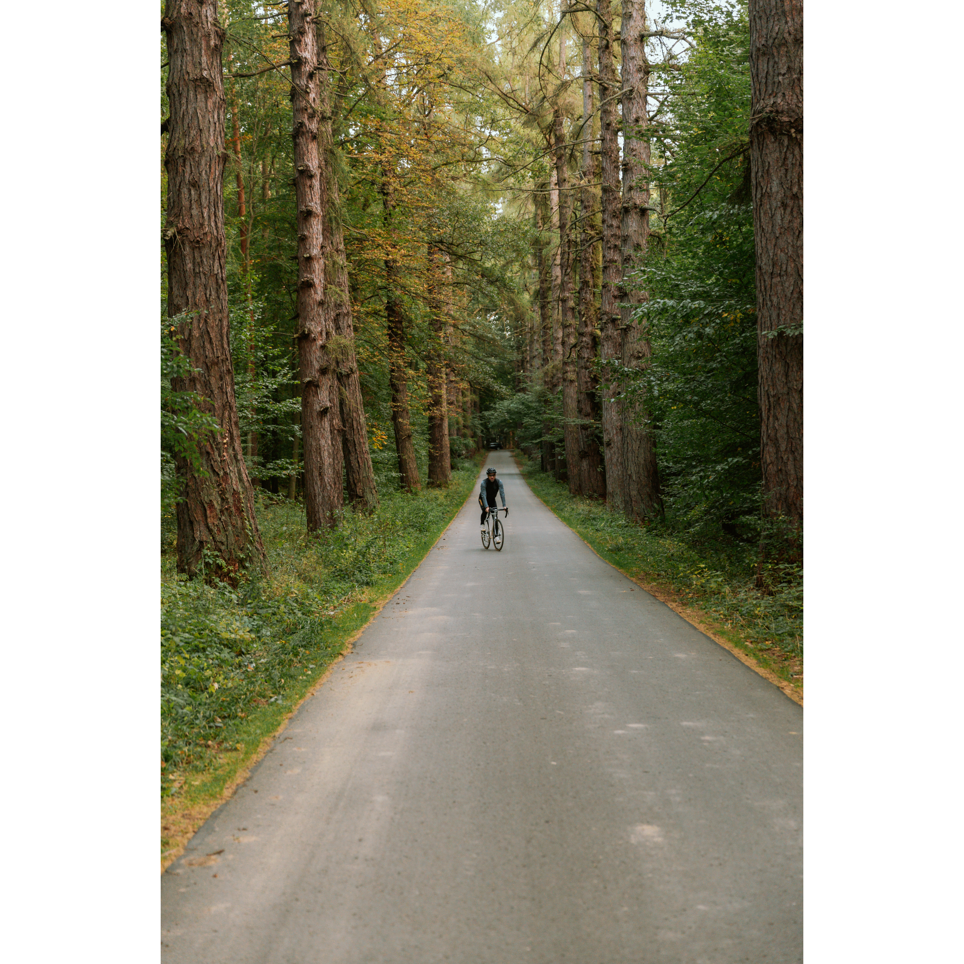 Bicycle route in Podkarpacie