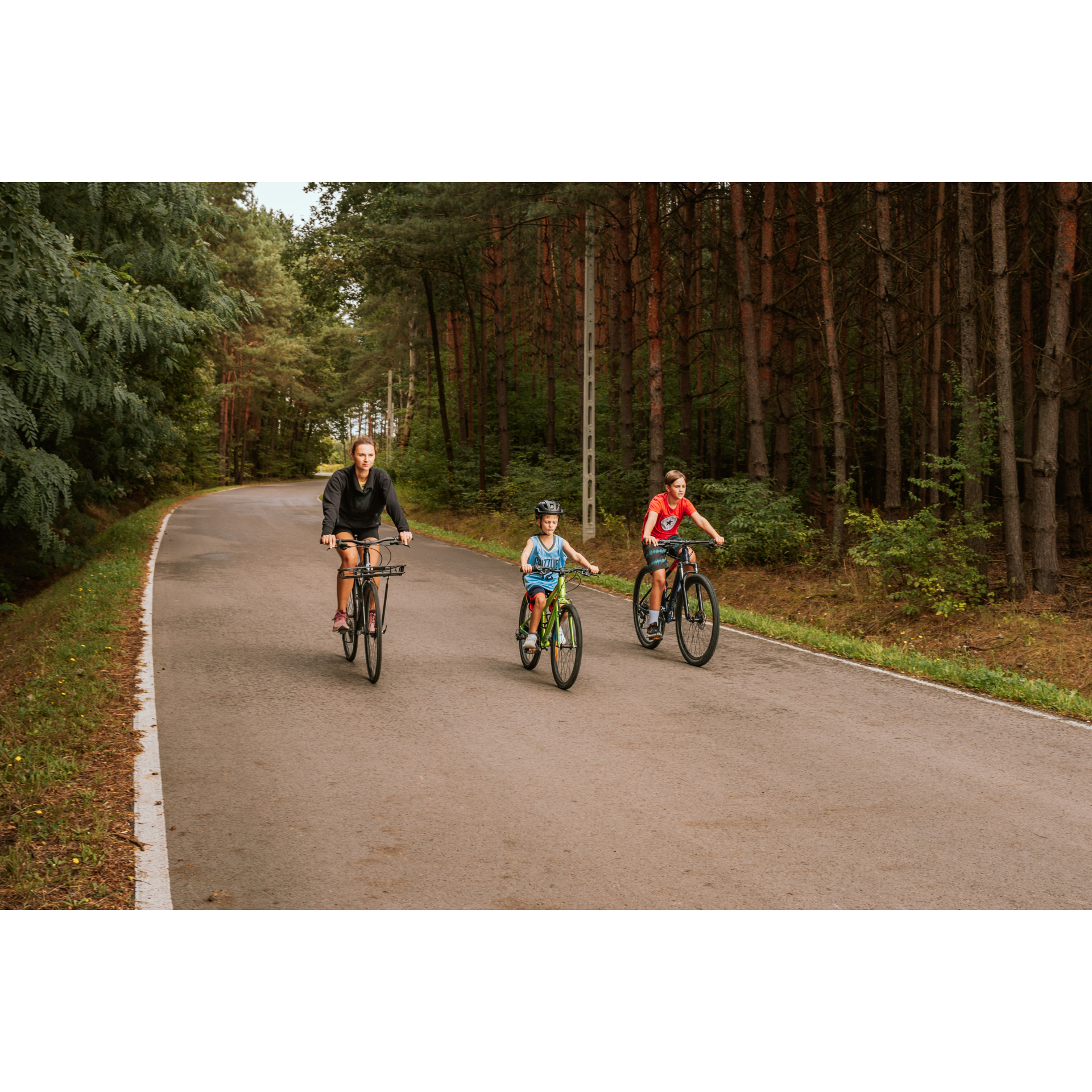 Forest bicycle trip