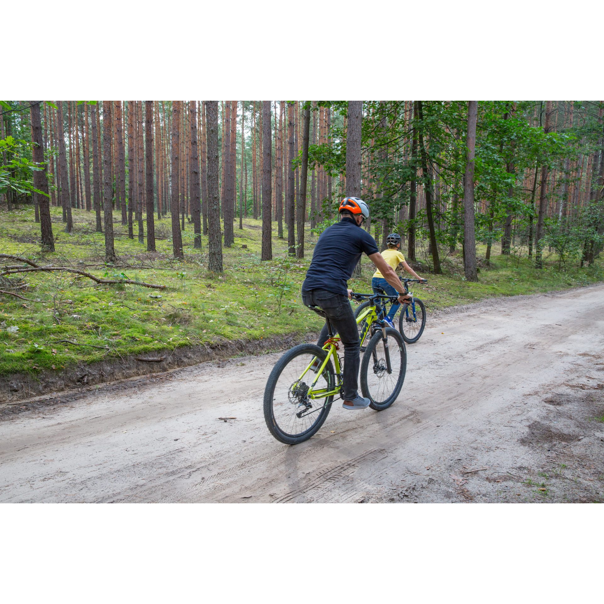 Bicycle routes in Podkarpacie