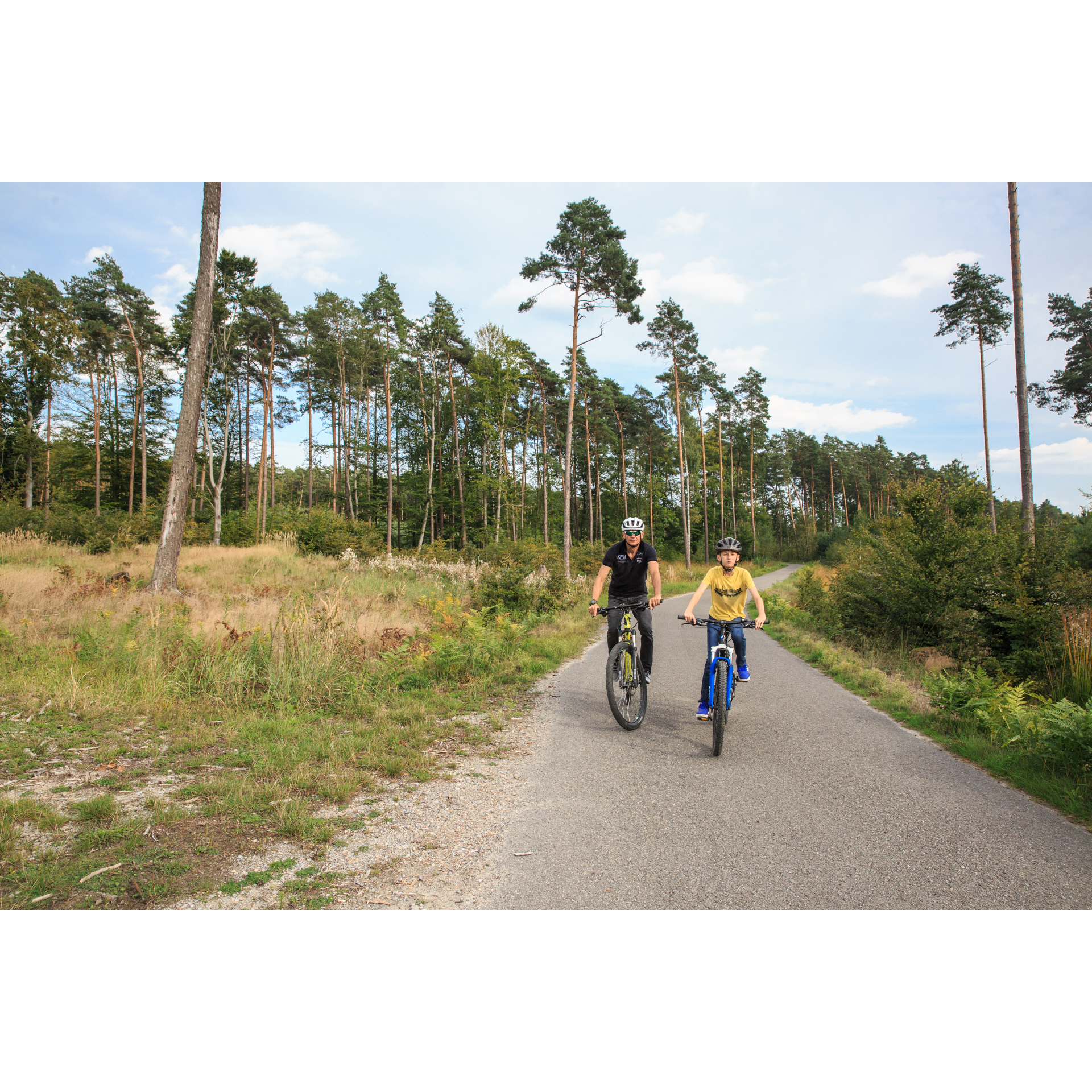 Bicycle routes in Podkarpacie