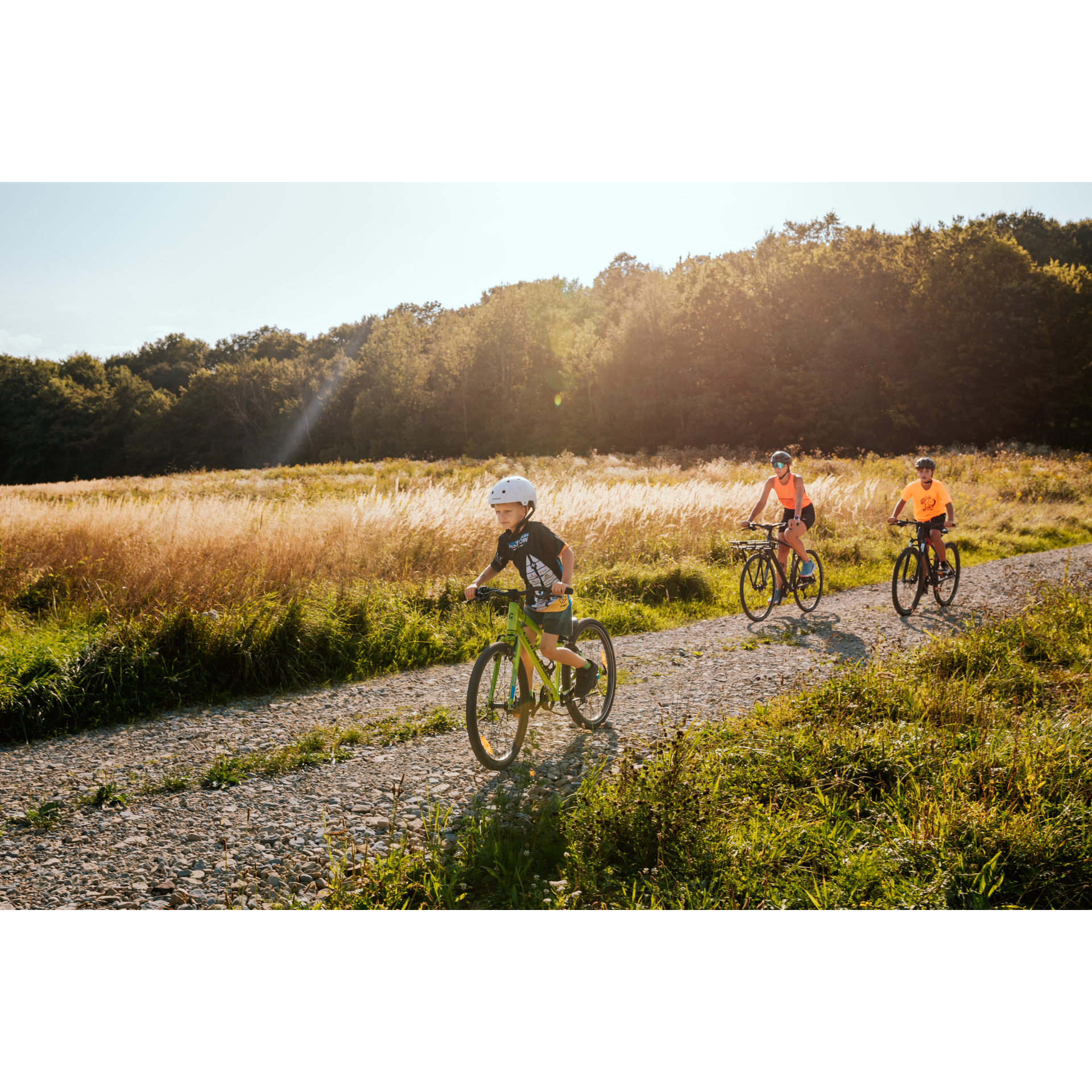 By bike through the meadows