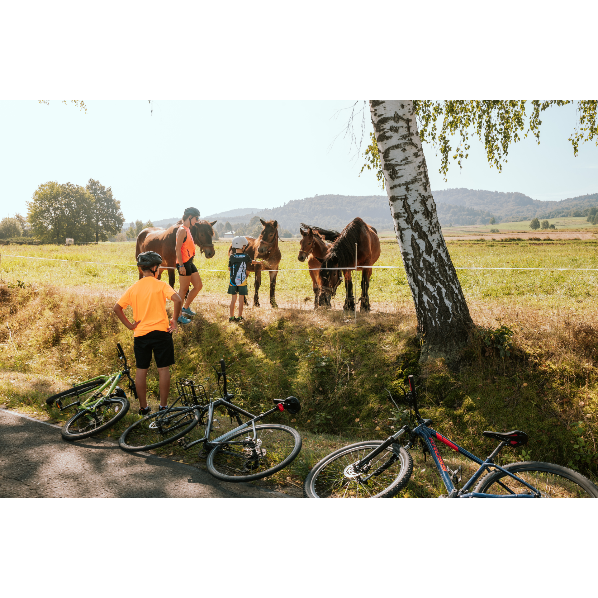 Zwierzęta na trasie rowerowej