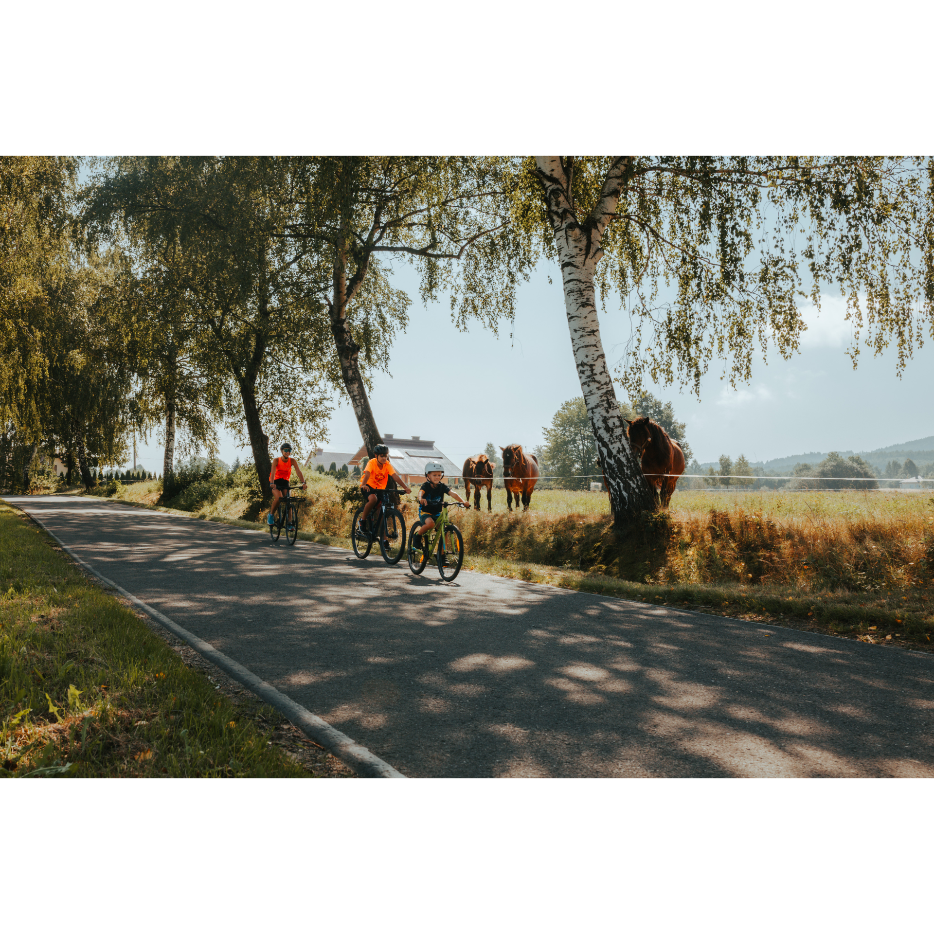 Among the horses