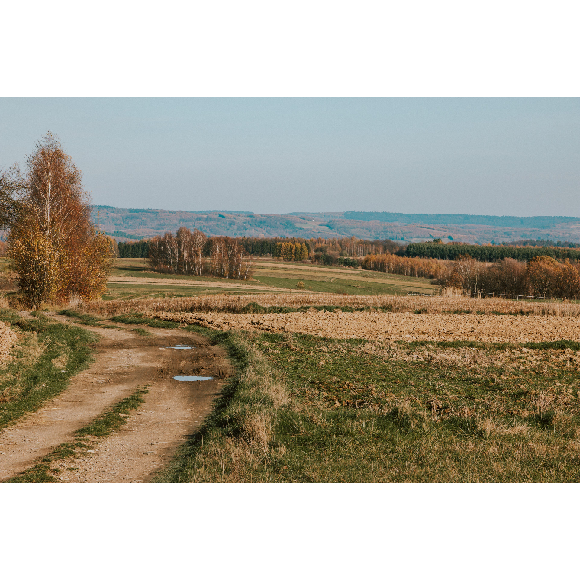 A dirt sandy road among meadows and fields, trees, bushes and hills in the background